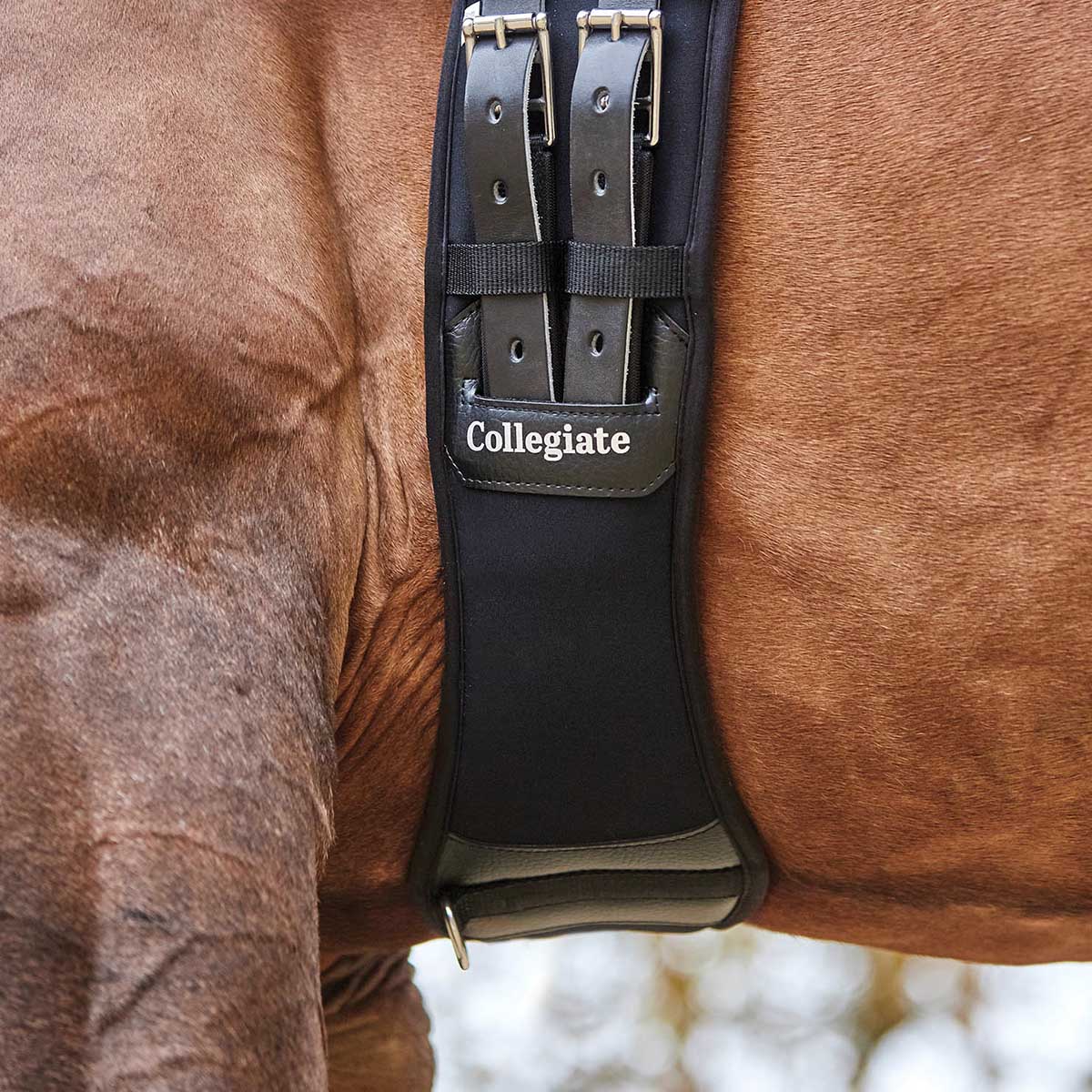Collegiate Memory Foam Dressage Girth, Black - Image 6