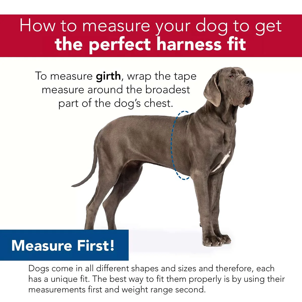 Comfort Soft Reflective Wrap Adjustable Dog Harness - Image 30