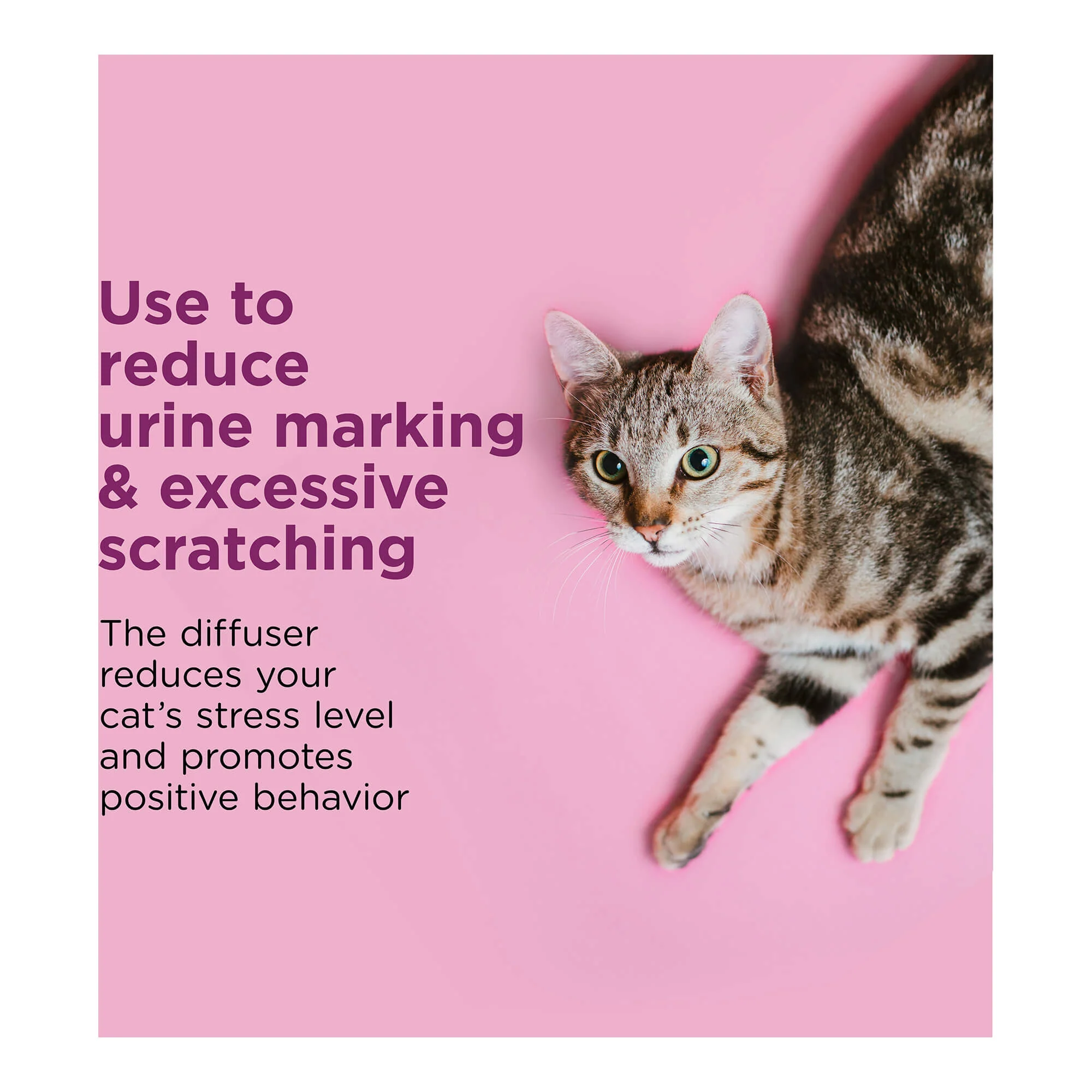 Comfort Zone Cat Calming Diffuser & Refills for Cats & Kittens - Image 3