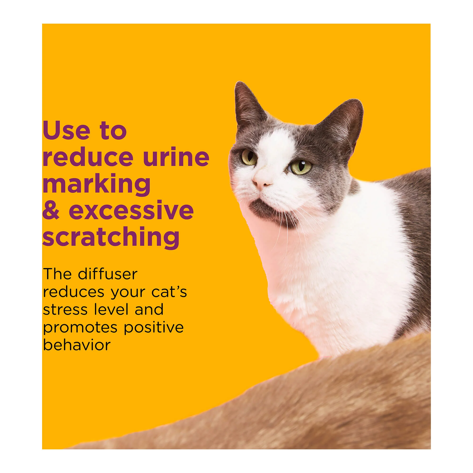 Comfort Zone Multi Cat Calming Diffuser & Refills – Pheromone Stress Relief - Image 14