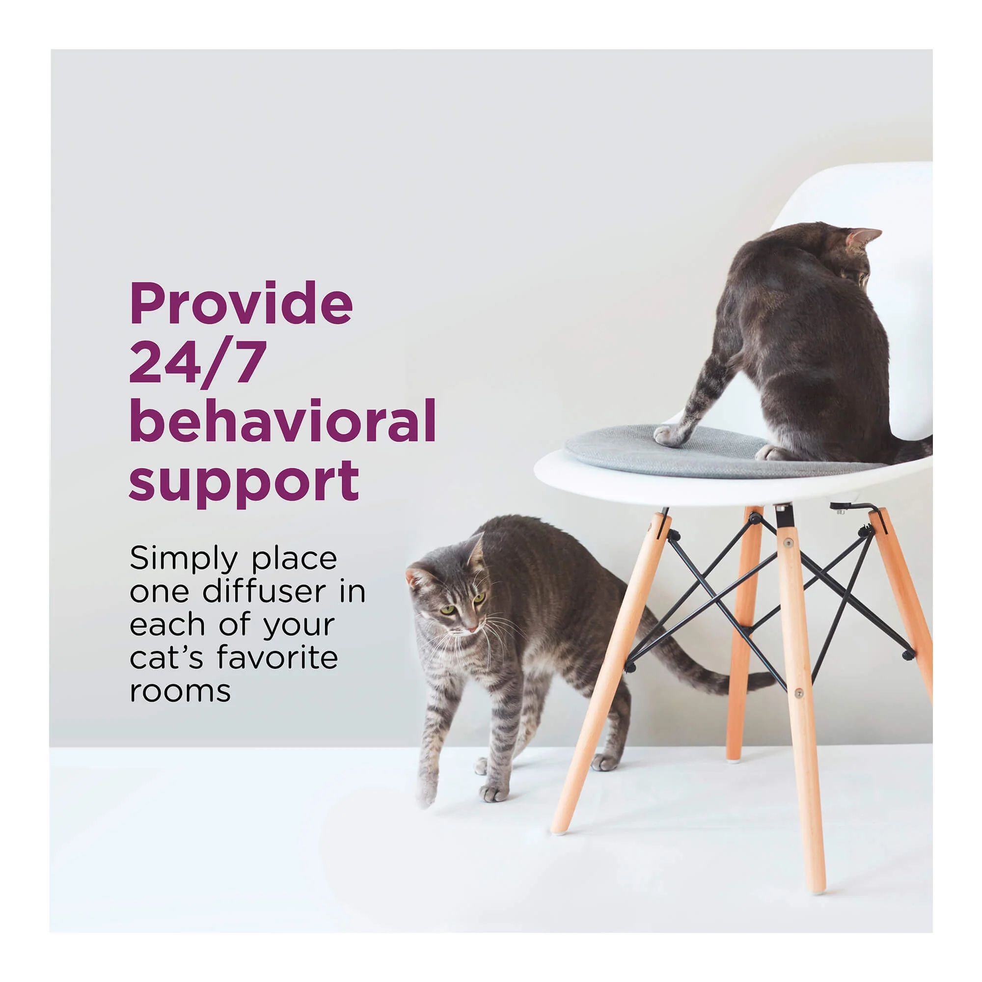 Comfort Zone Multi Cat Calming Diffuser & Refills – Pheromone Stress Relief - Image 5