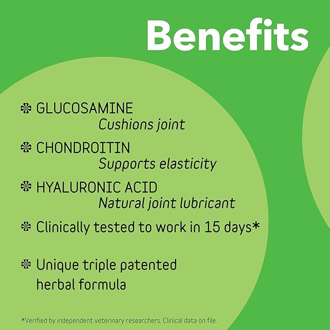 Connectin Hip & Joint Soft Chews for Dogs - Image 2