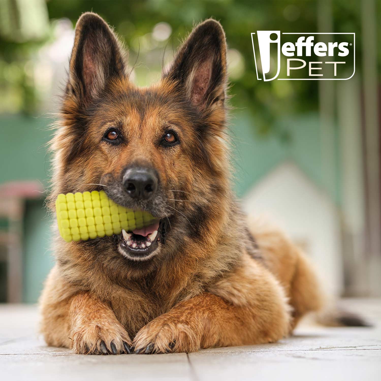 Jeffers Corn Cob Natural Rubber Stuffable Treat Dispenser Dog Dental Chew Toy - Image 6
