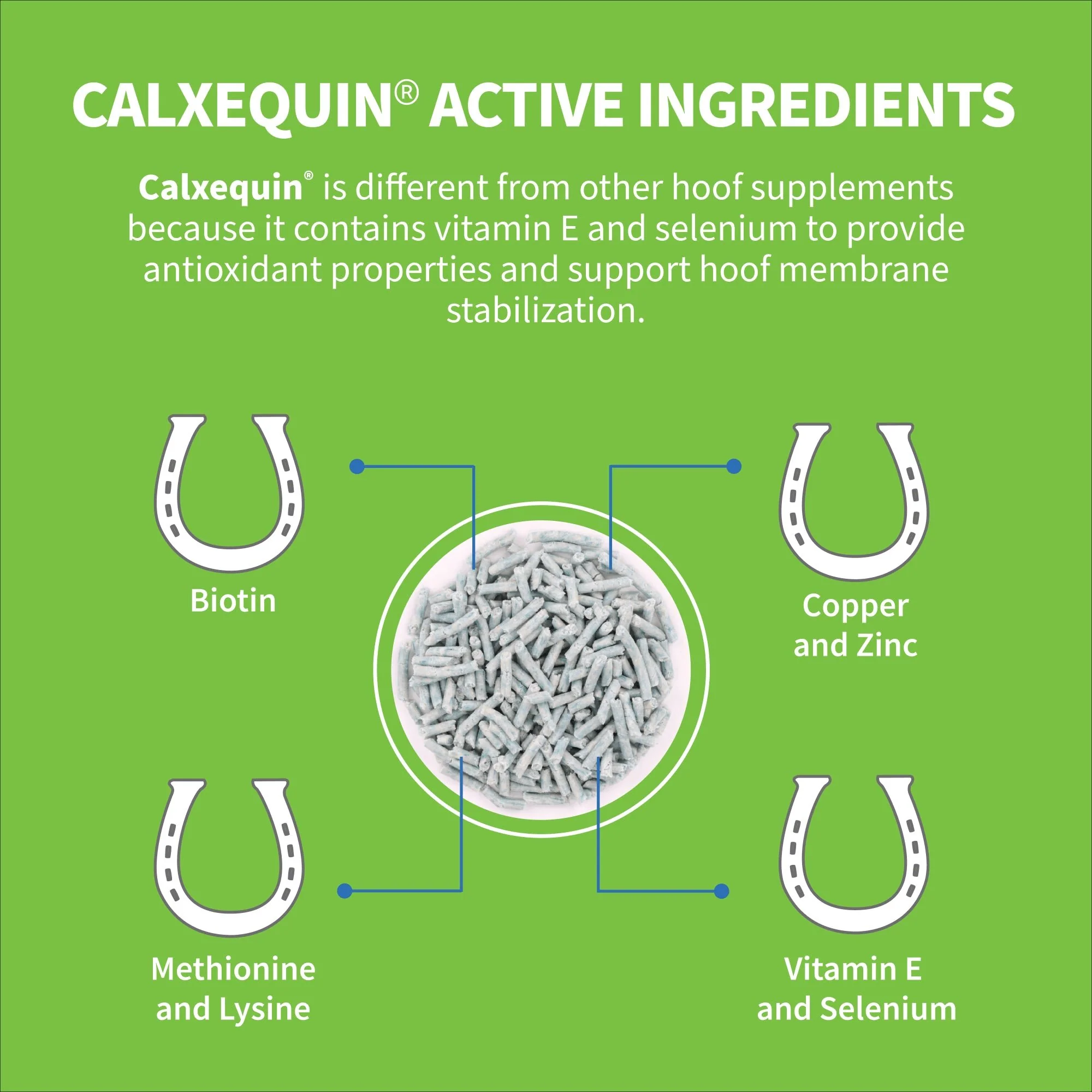 Nutramax Cosequin Calxequin Pellets Daily Hoof Support for Horses, 1260 Grams - Image 4