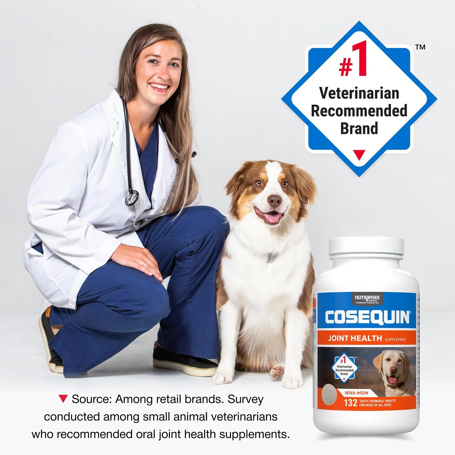 Nutramax Cosequin Maximum Strength Joint Health Plus MSM Supplement for Dogs, Chewable Tablets - Image 11