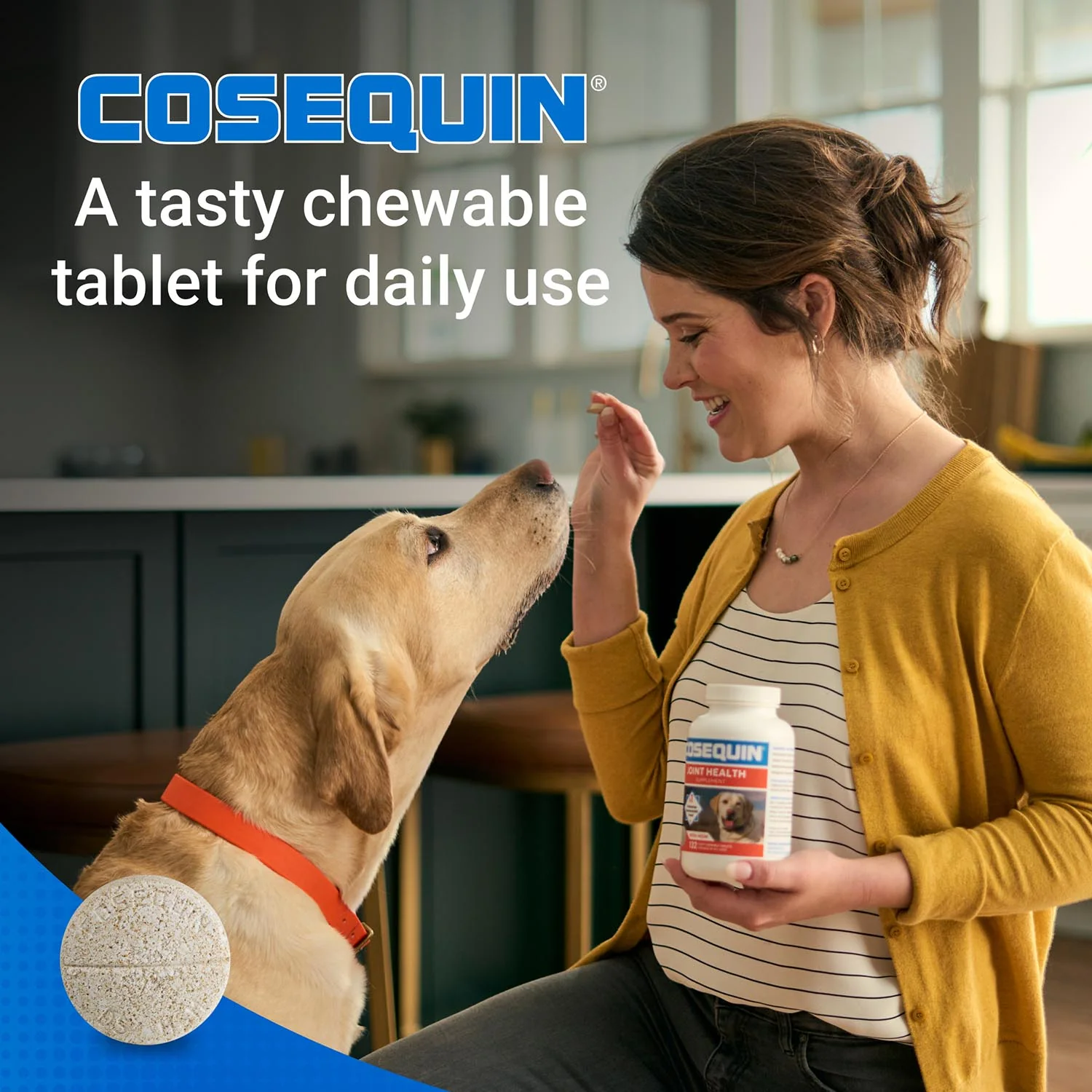 Nutramax Cosequin Maximum Strength Joint Health Plus MSM Supplement for Dogs, Chewable Tablets - Image 12