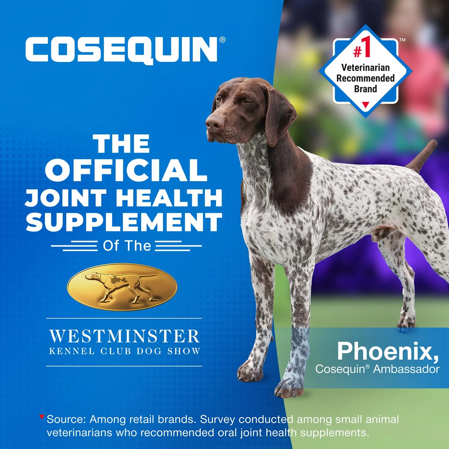 Nutramax Cosequin Maximum Strength Joint Health Plus MSM Supplement for Dogs, Chewable Tablets - Image 14