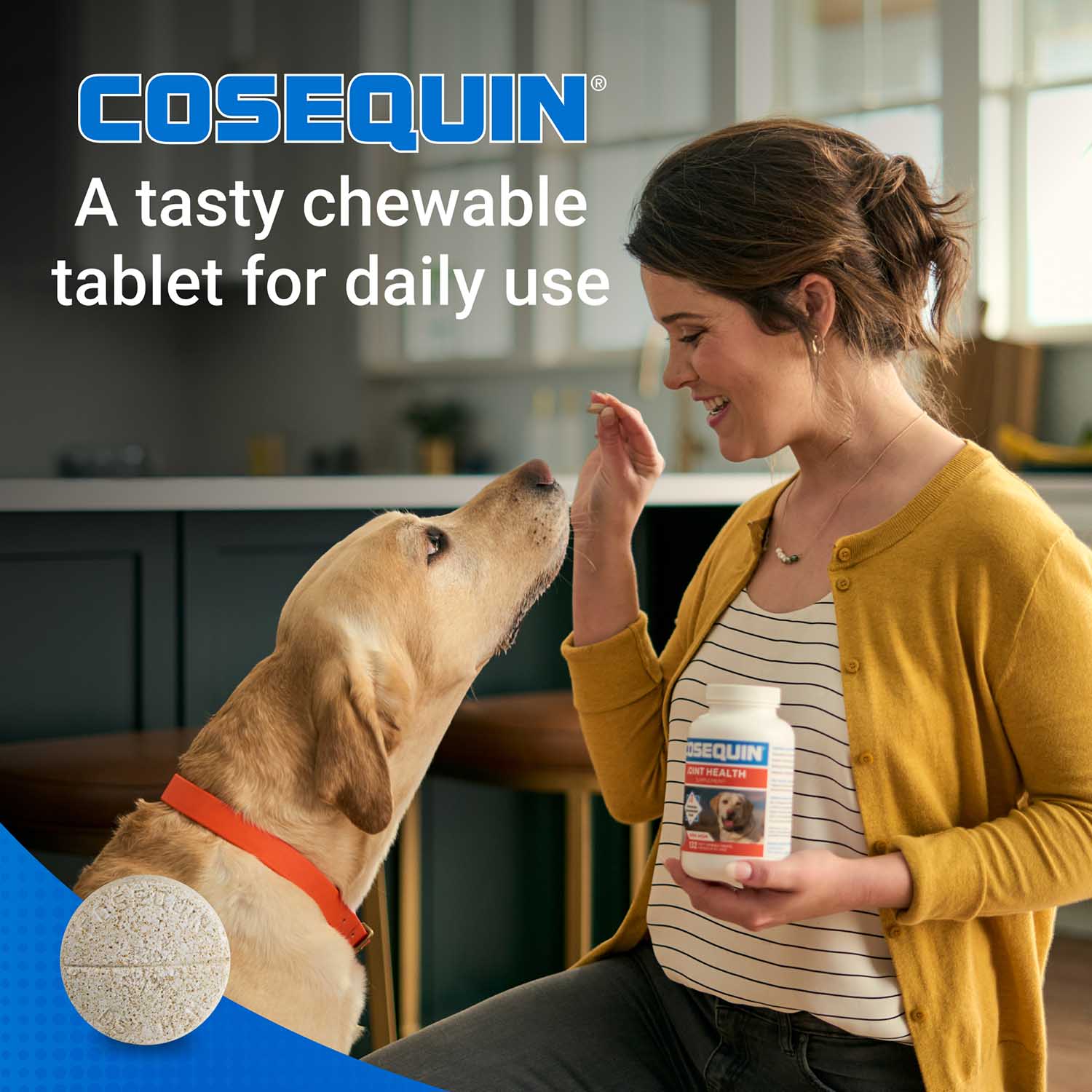Nutramax Cosequin Maximum Strength Joint Health Plus MSM Supplement for Dogs, Chewable Tablets - Image 21