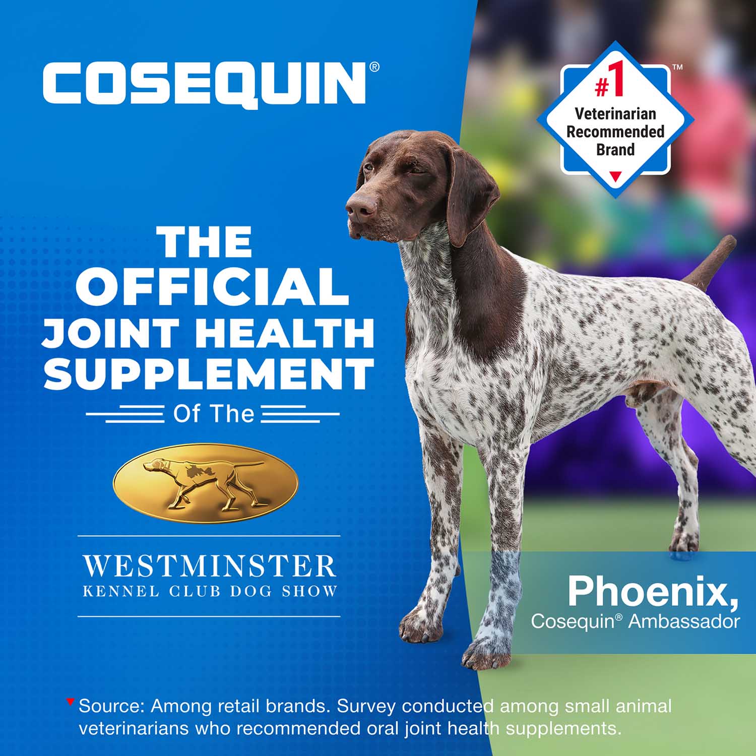 Nutramax Cosequin Maximum Strength Joint Health Plus MSM Supplement for Dogs, Chewable Tablets - Image 23