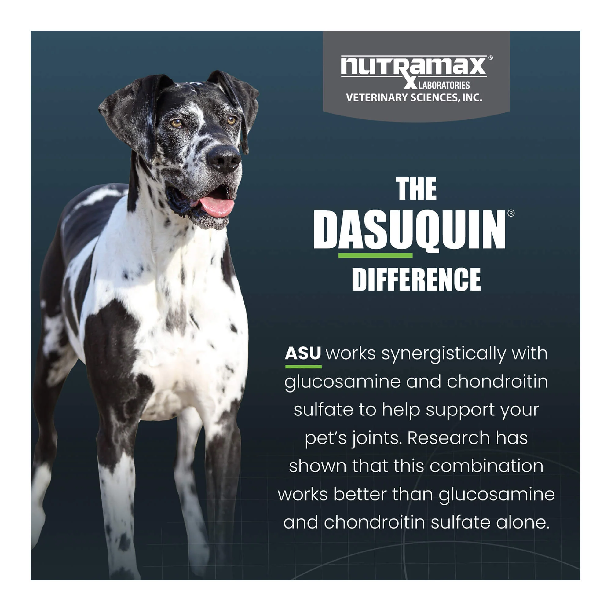 Nutramax Dasuquin for Dogs, Joint Health Supplement, Glucosamine, Chondroitin, ASU, MSM and More, Supports Healthy Joints, Soft Chews - Image 16