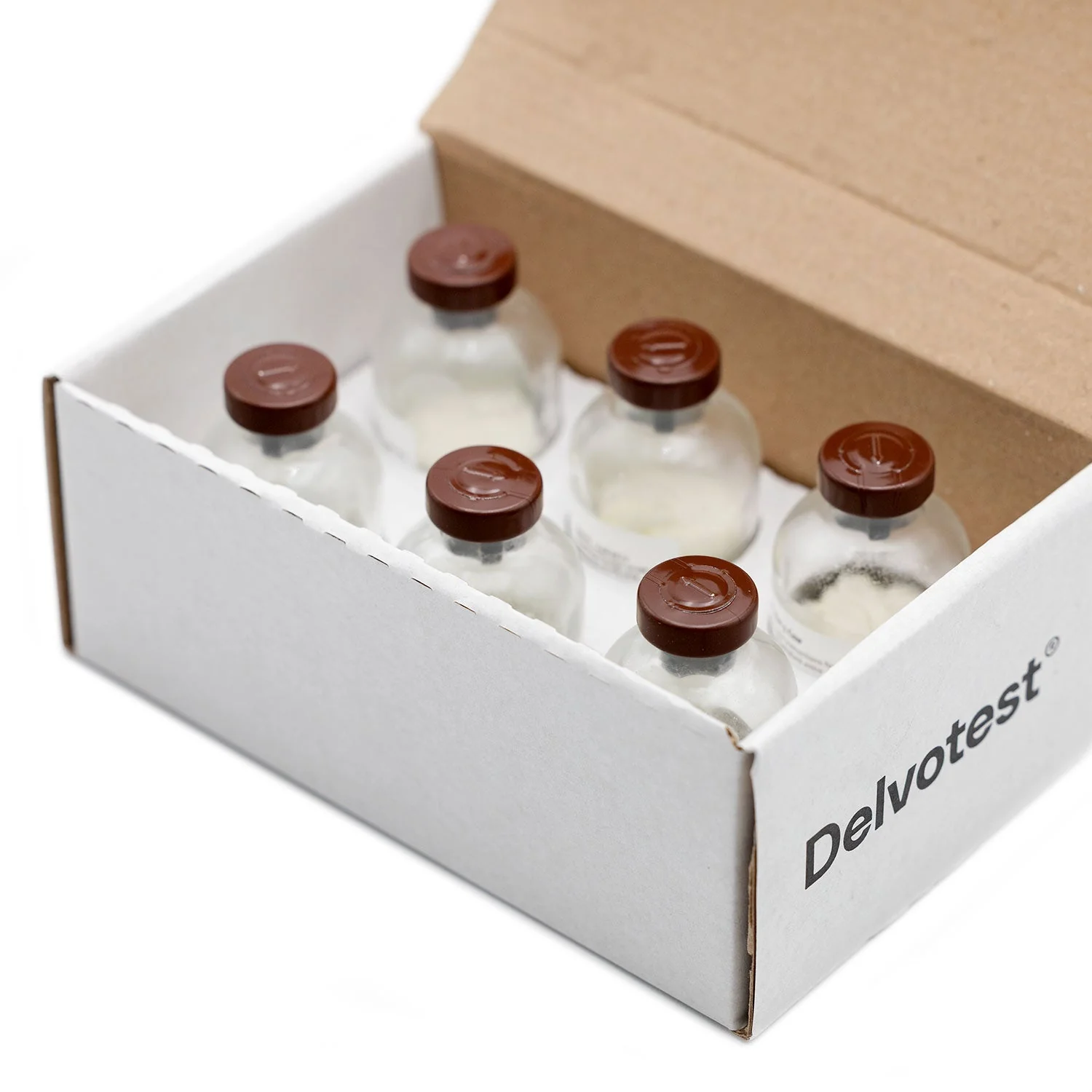 Delvotest Cattle Penicillin 5 ppb Control, 6-Pack - Image 2