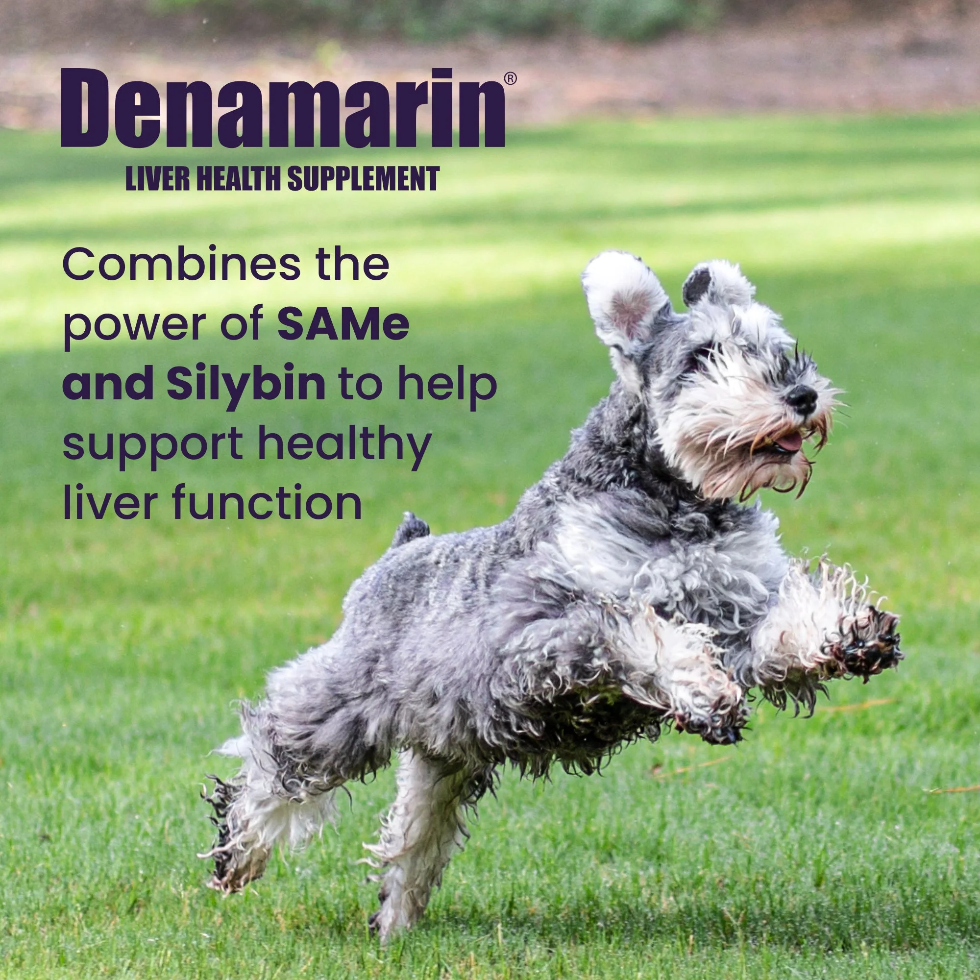 Nutramax Denamarin Liver Health, Stabilized Tablets - Image 20