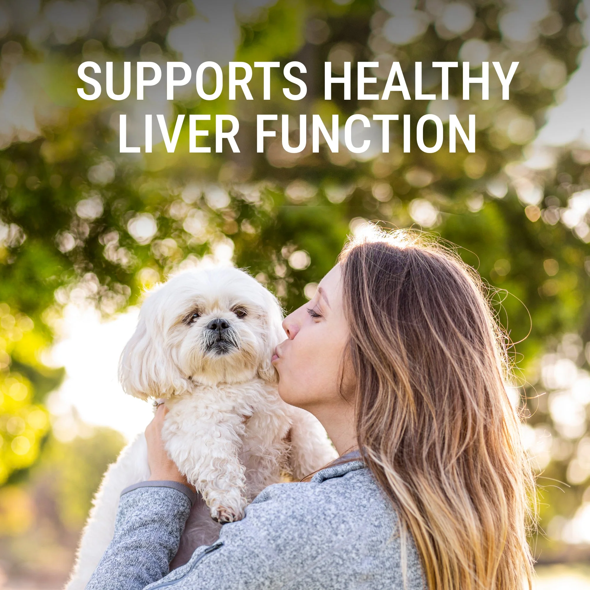 Nutramax Denosyl Liver and Brain Health Supplement - Image 7