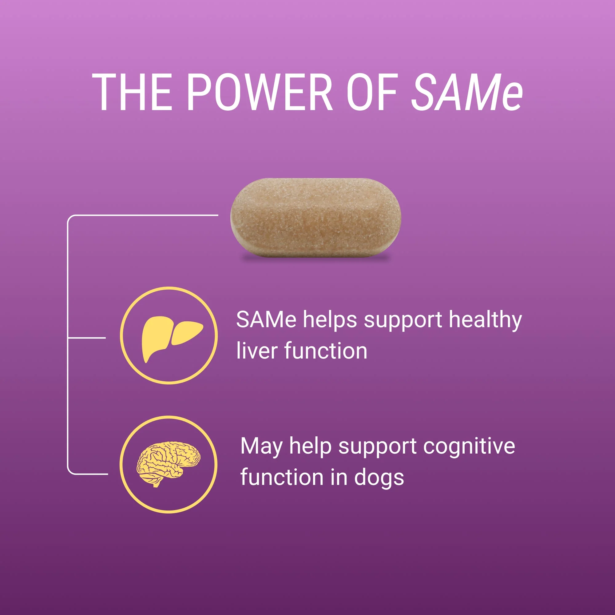 Nutramax Denosyl Liver and Brain Health Supplement - Image 9
