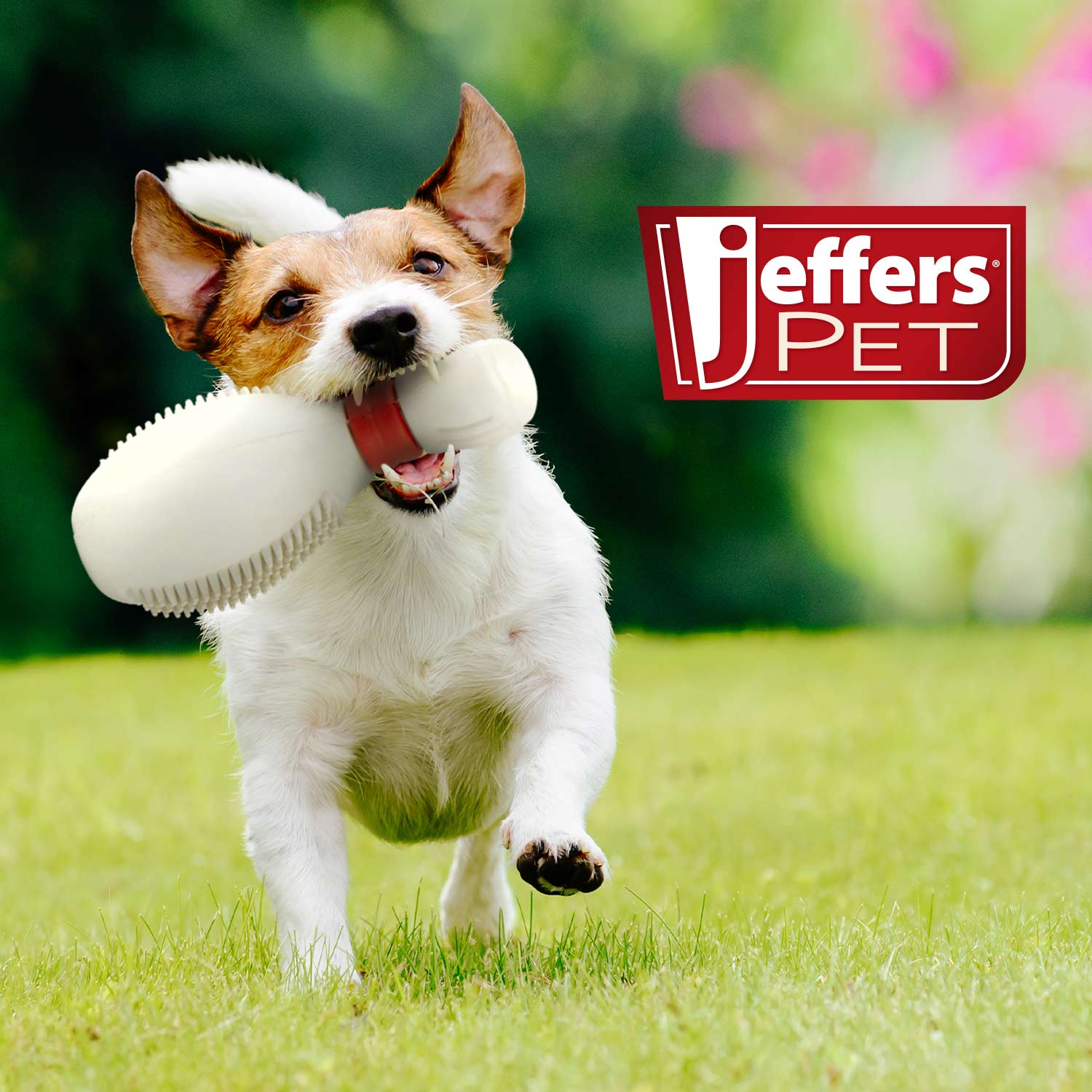 Jeffers Bowling Pin Natural Rubber Treat Dispensing Dental Chew Toy for Dogs - Image 6