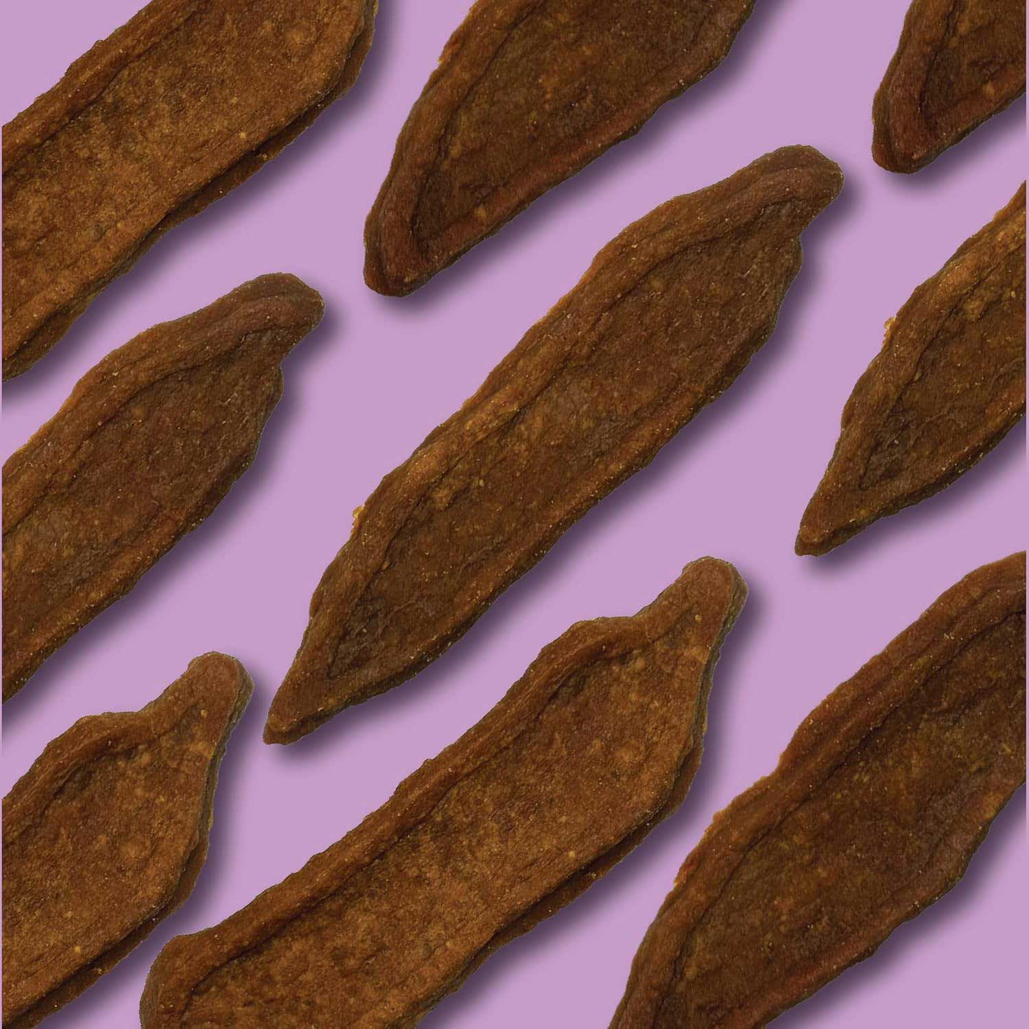 Disney Glad Wags Chicken Jerky Dog Treats – Real Chicken, Grain-Free, Healthy Soft Jerky Snacks, Made in USA - Image 6