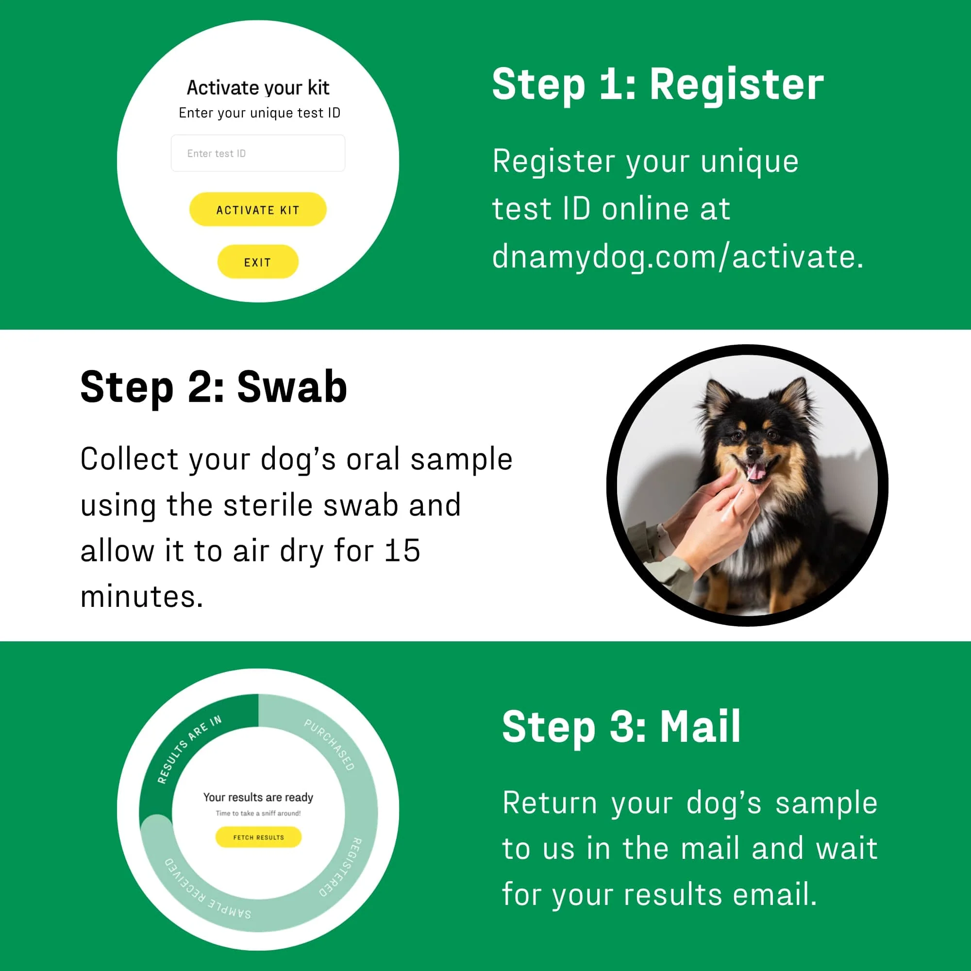 DNA My Dog - Essential Breed ID Test - Image 3