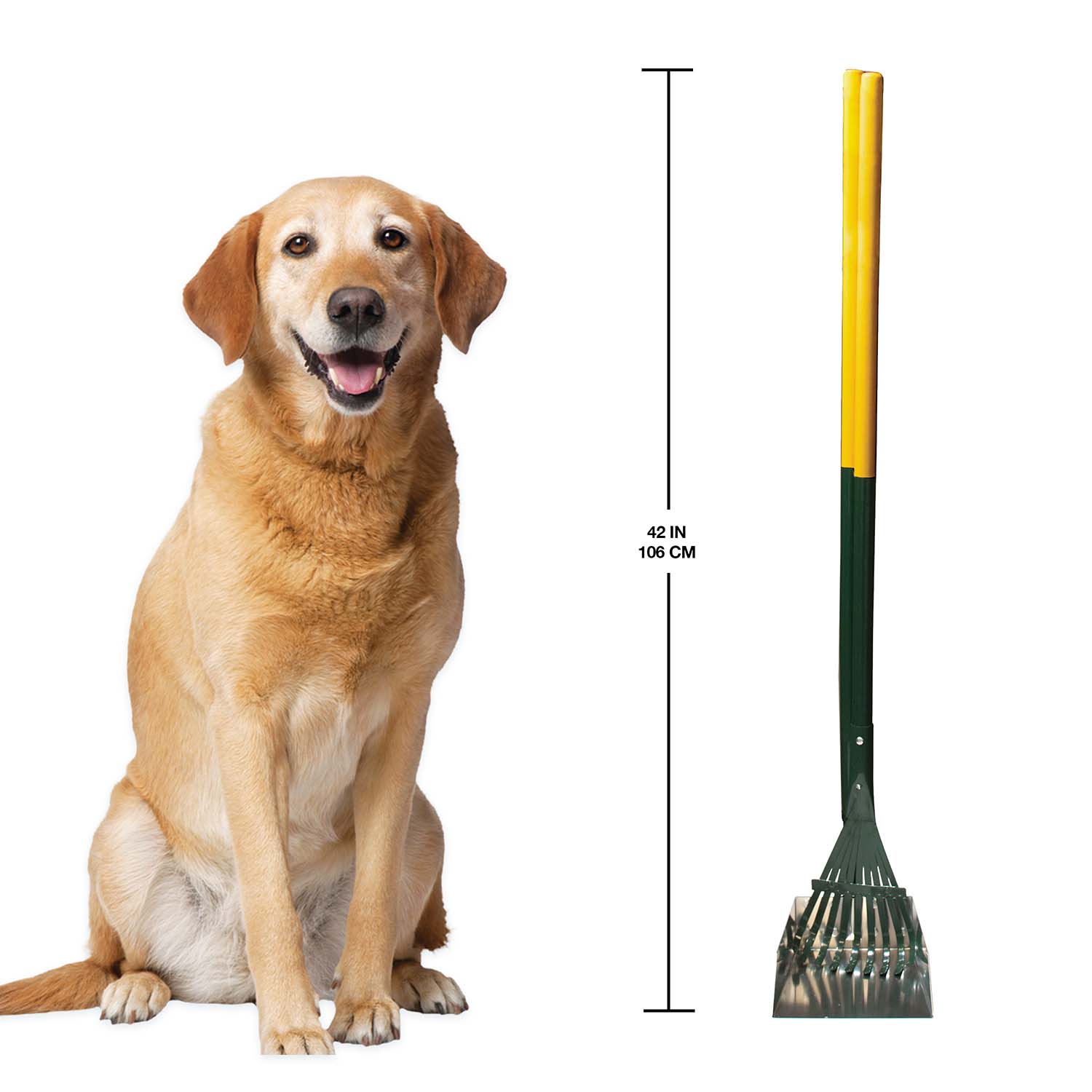 Dog Rake & Scooper Set for Pet Waste Pick-up - Image 5