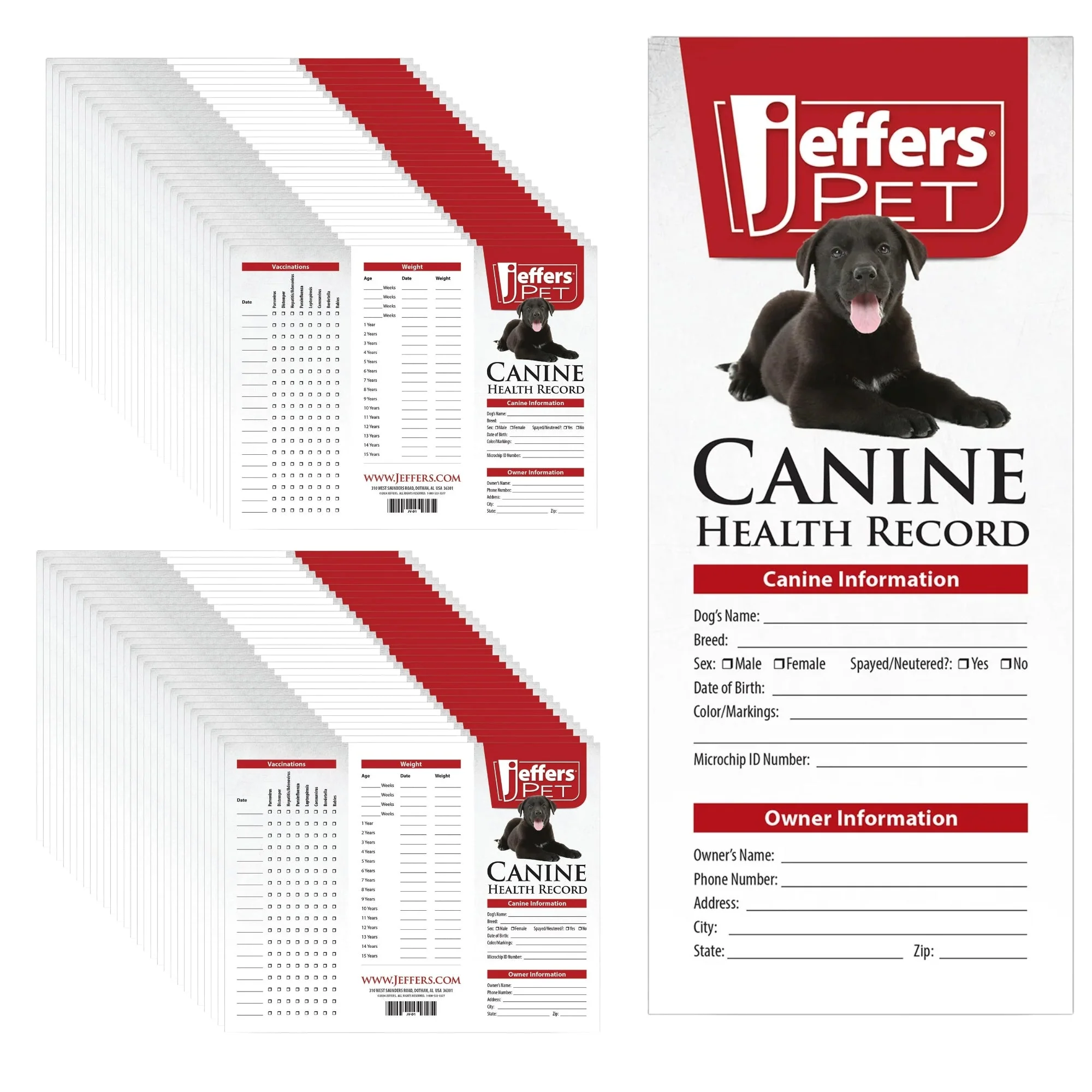 Jeffers Dog Health Record - Image 12