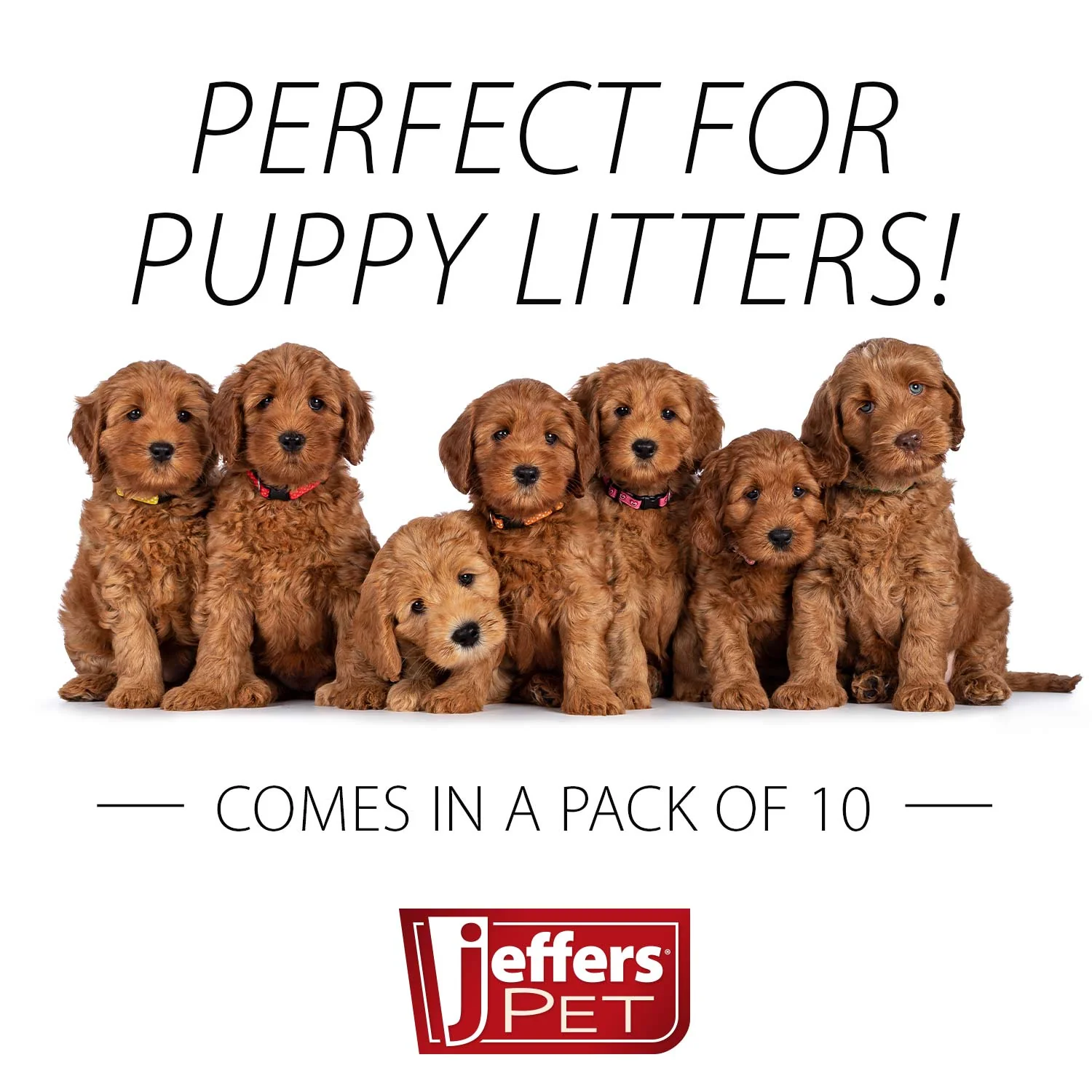 Jeffers Dog Health Record - Image 5