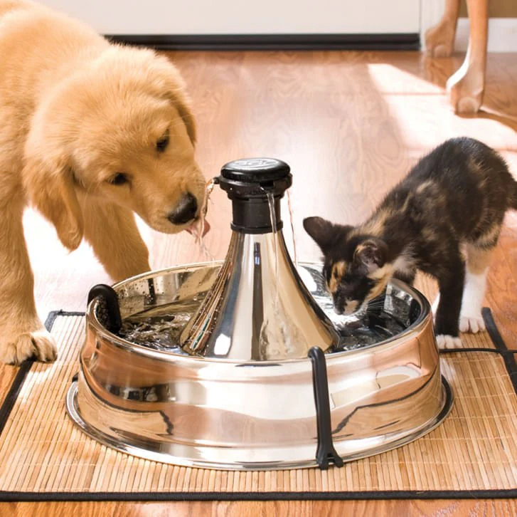 Drinkwell 360 Stainless Pet Fountain (& Replacement Filters) - Image 2