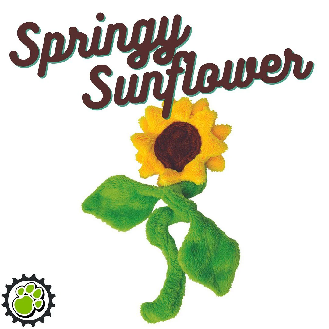 Duraplush Sunflower Dog Toy, Medium - Image 2
