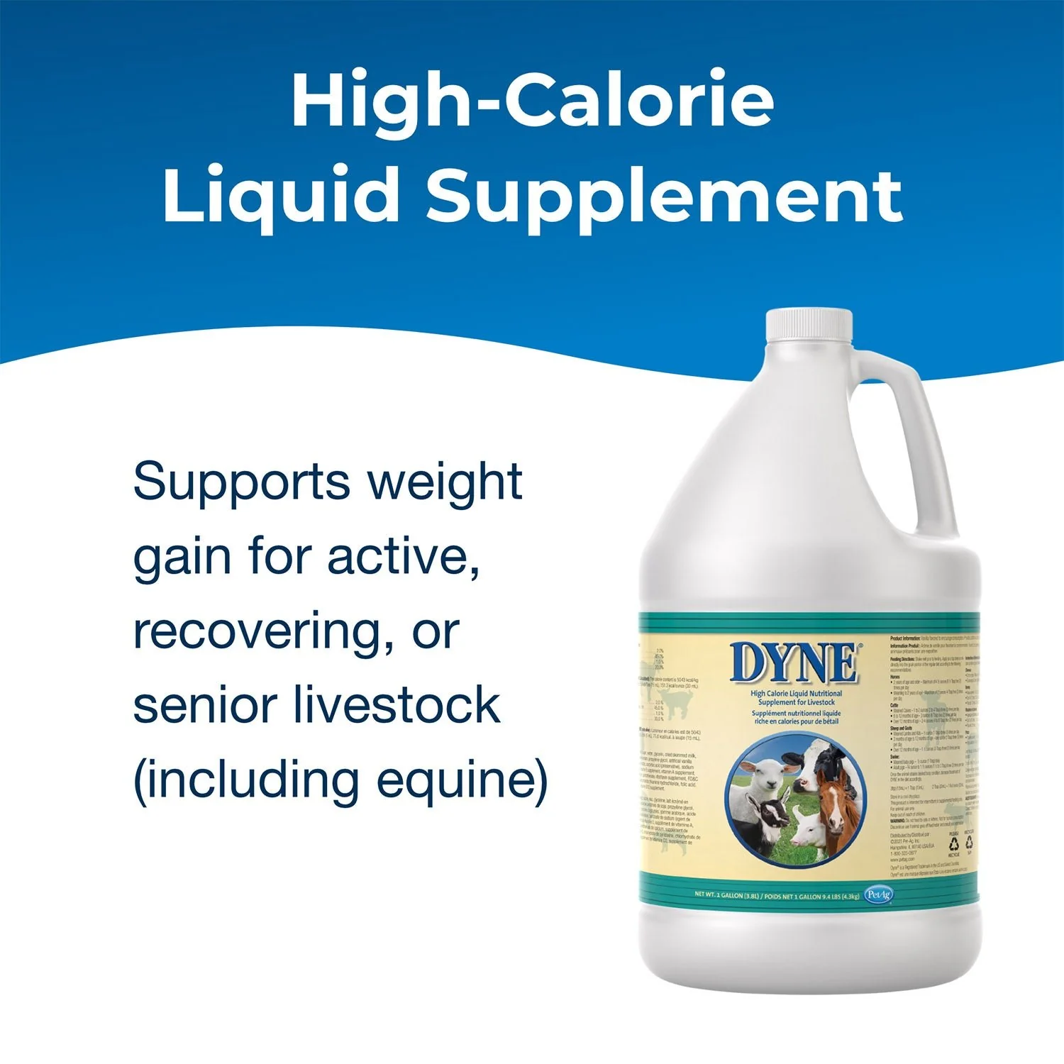 Dyne High Calorie Liquid Nutritional Supplement for Livestock - Image 7
