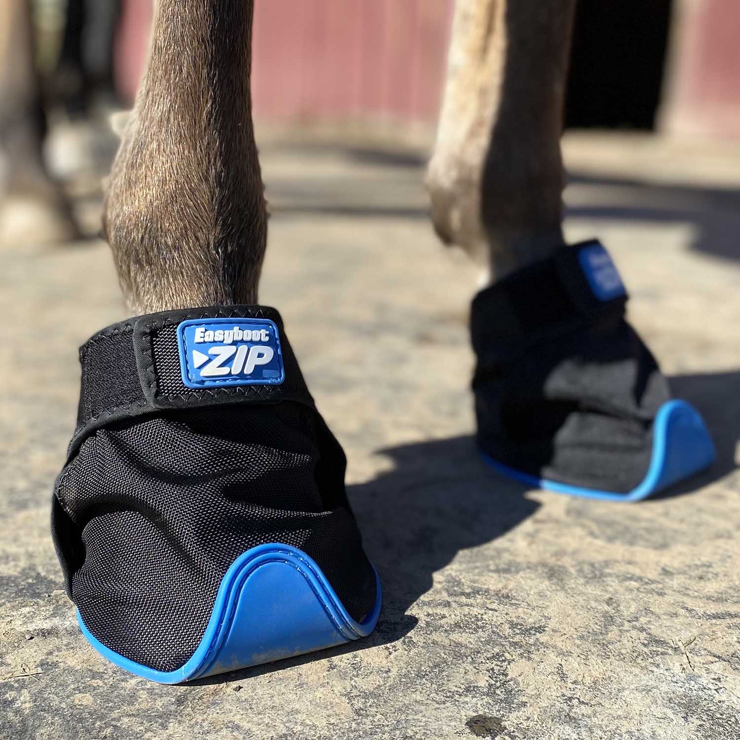 Easyboot ZiP Horse Hoof Boot - Image 4