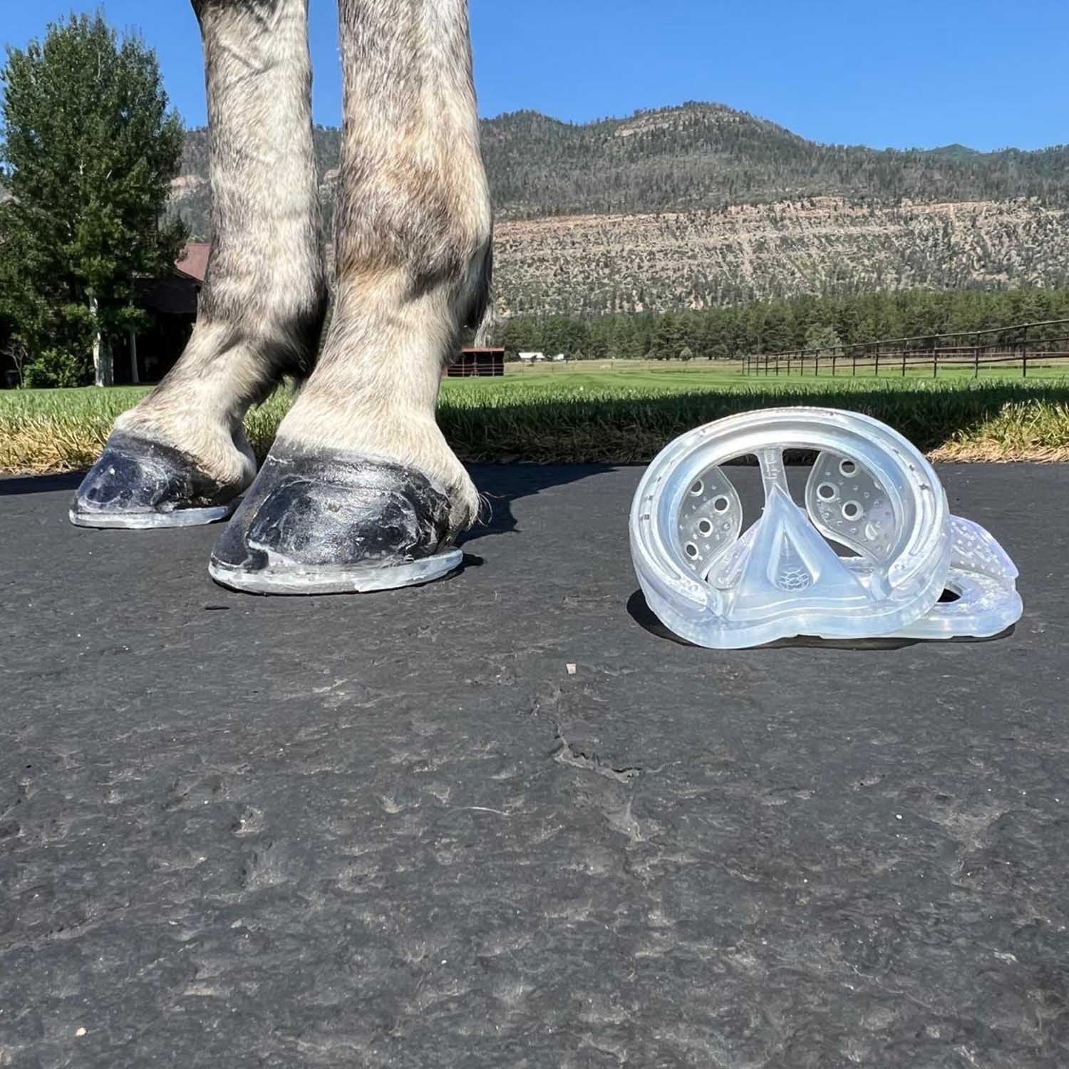 EasyShoe Race Horse Boot, Pair - Image 3