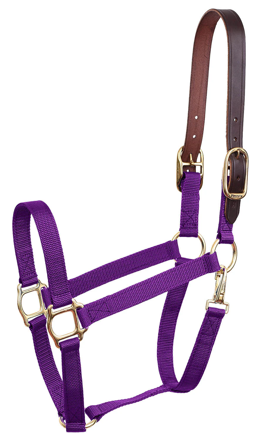 Economy Nylon Safety Horse Halter - Image 72