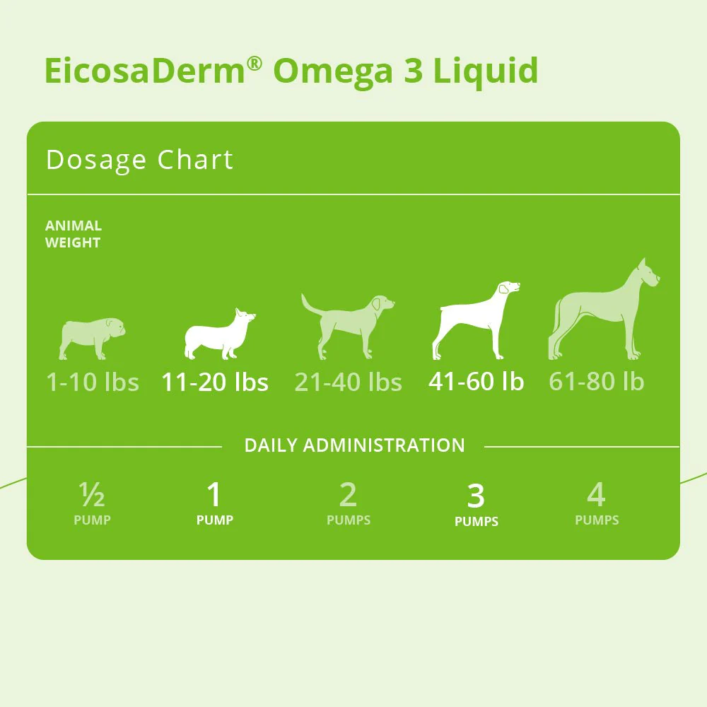 Dechra EicosaDerm Omega 3 Liquid for Dogs & Cats – Skin, Coat & Overall Health Supplement - Image 3
