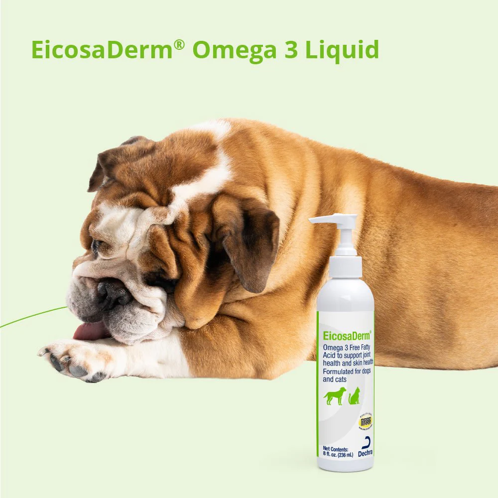Dechra EicosaDerm Omega 3 Liquid for Dogs & Cats – Skin, Coat & Overall Health Supplement - Image 4