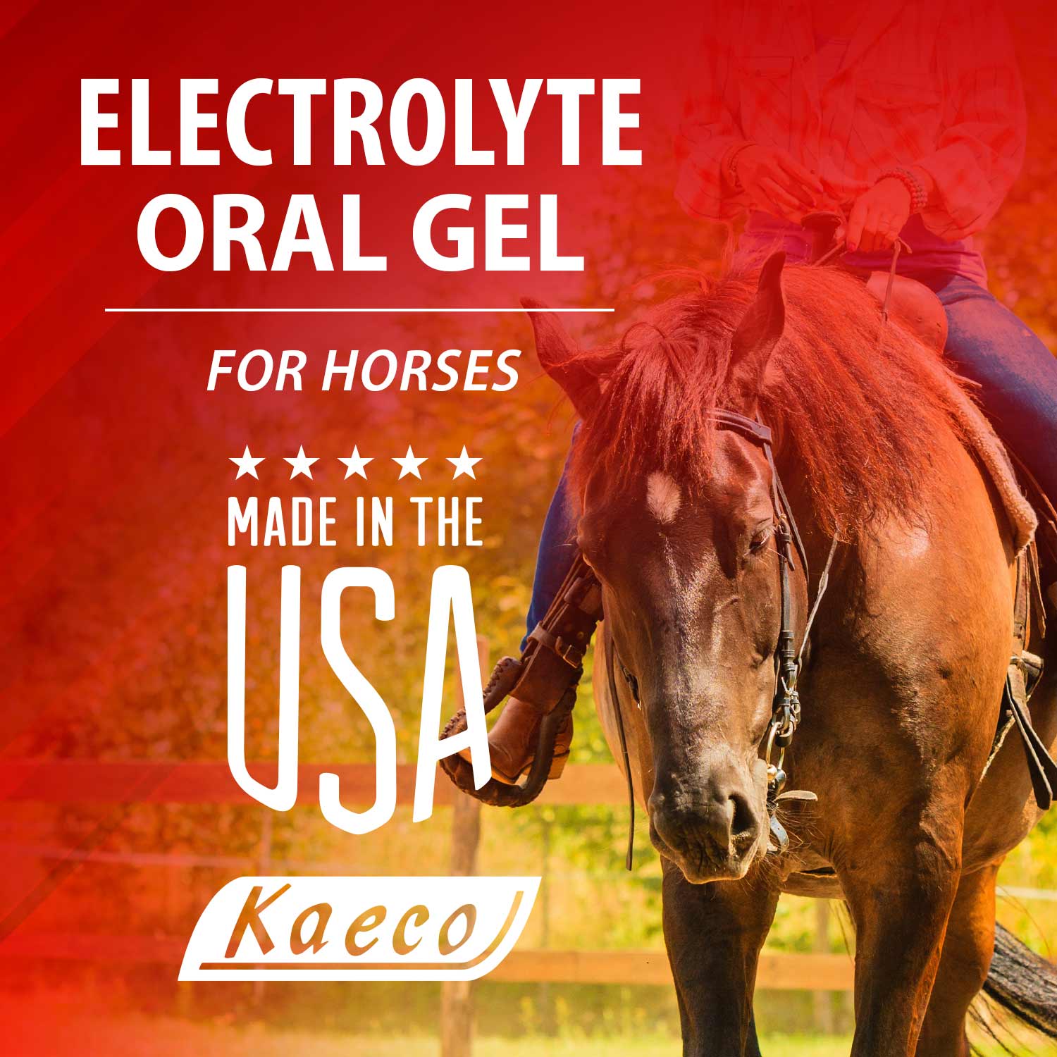 Electrolyte Oral Gel, 30mL - Image 4