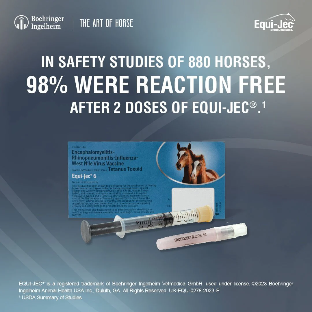 Equi-Jec 6 Vaccine for Horses - Image 5