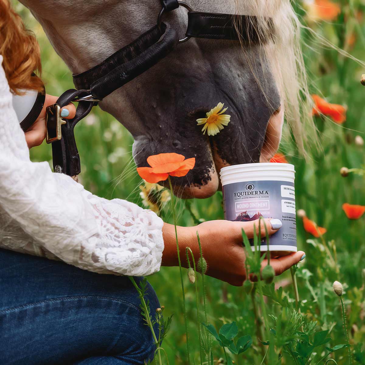 Equiderma Wound Ointment - Image 4