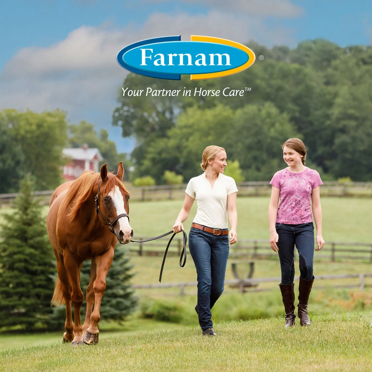 Farnam Equisect Water-Based Botanical Fly Repellent with Herbal Scent for Horses, Dogs and Cats - Image 10