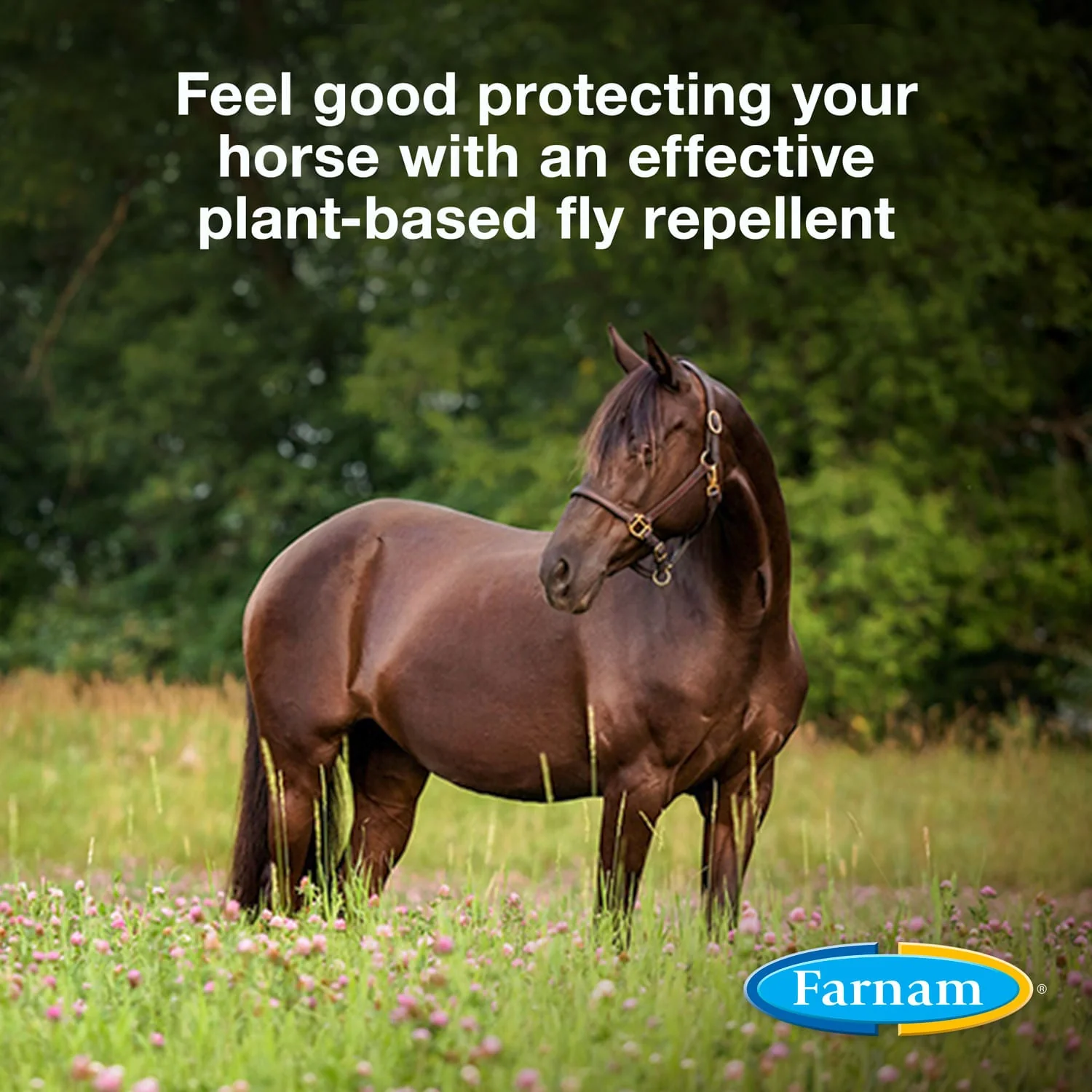Farnam Equisect Water-Based Botanical Fly Repellent with Herbal Scent for Horses, Dogs and Cats - Image 4