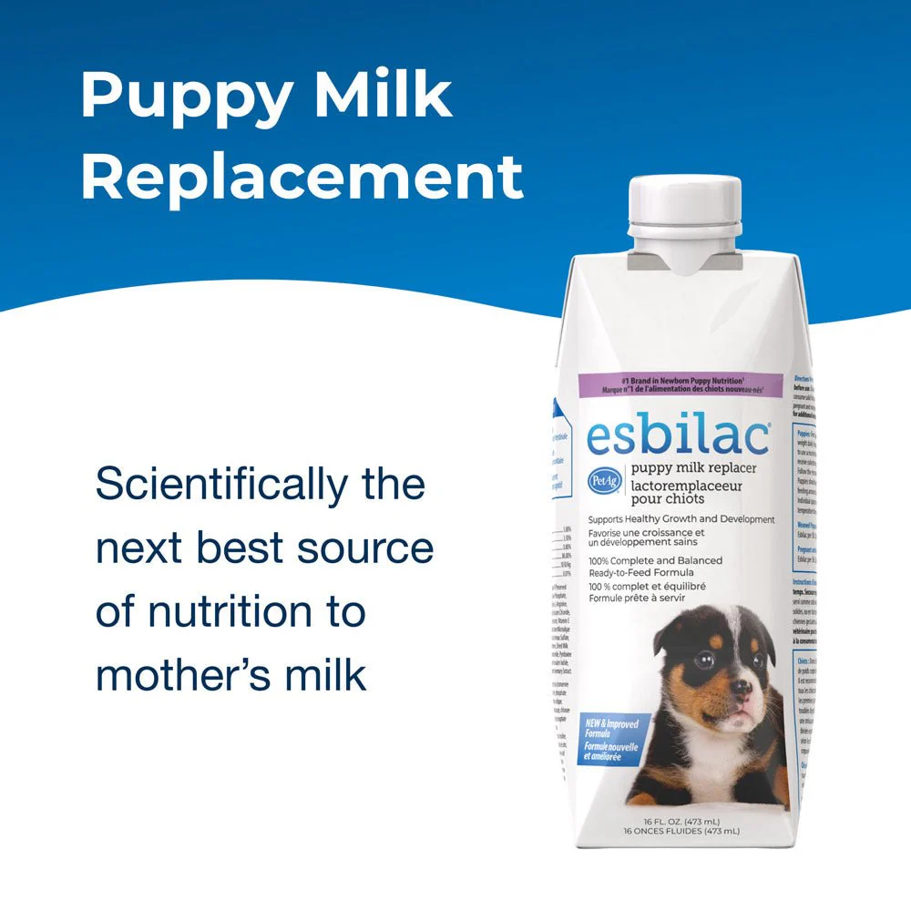 PetAg Esbilac Puppy Milk Replacer Liquid Supplement, Ready-to-Feed Formula with Vitamins - Image 6