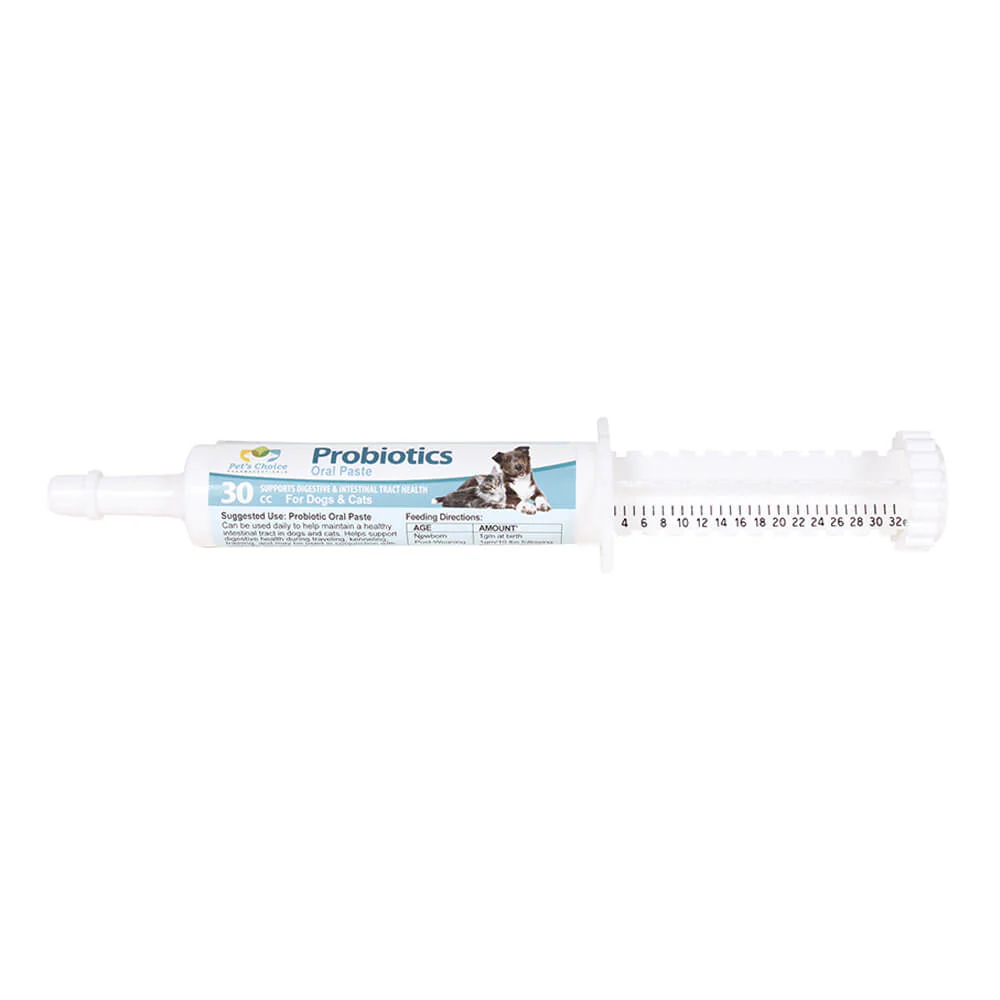 EZ-Soothe Probiotic Oral Paste for Dogs & Cats – Daily Digestive & Gut Support, 30cc