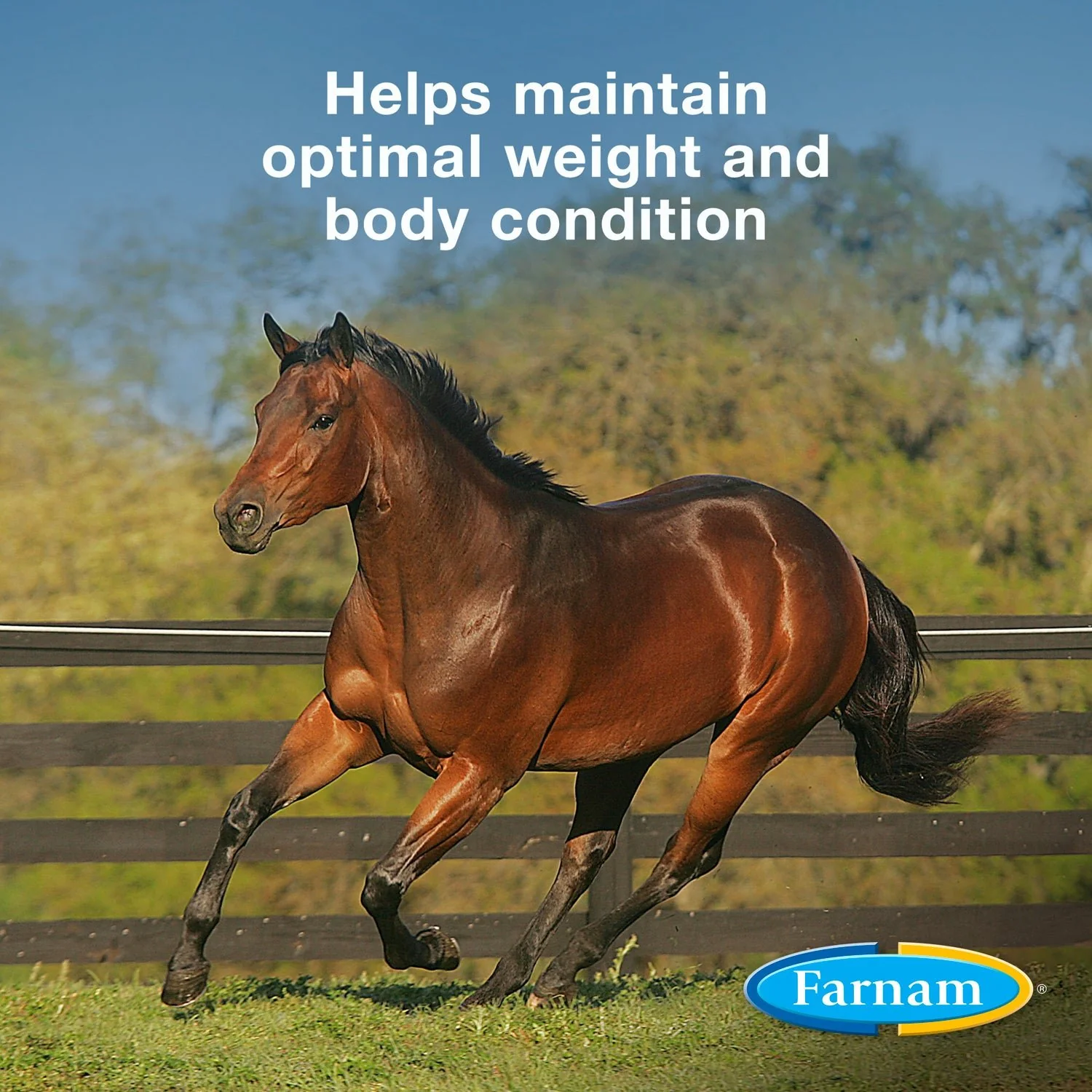 Farnam Weight Builder - Image 3