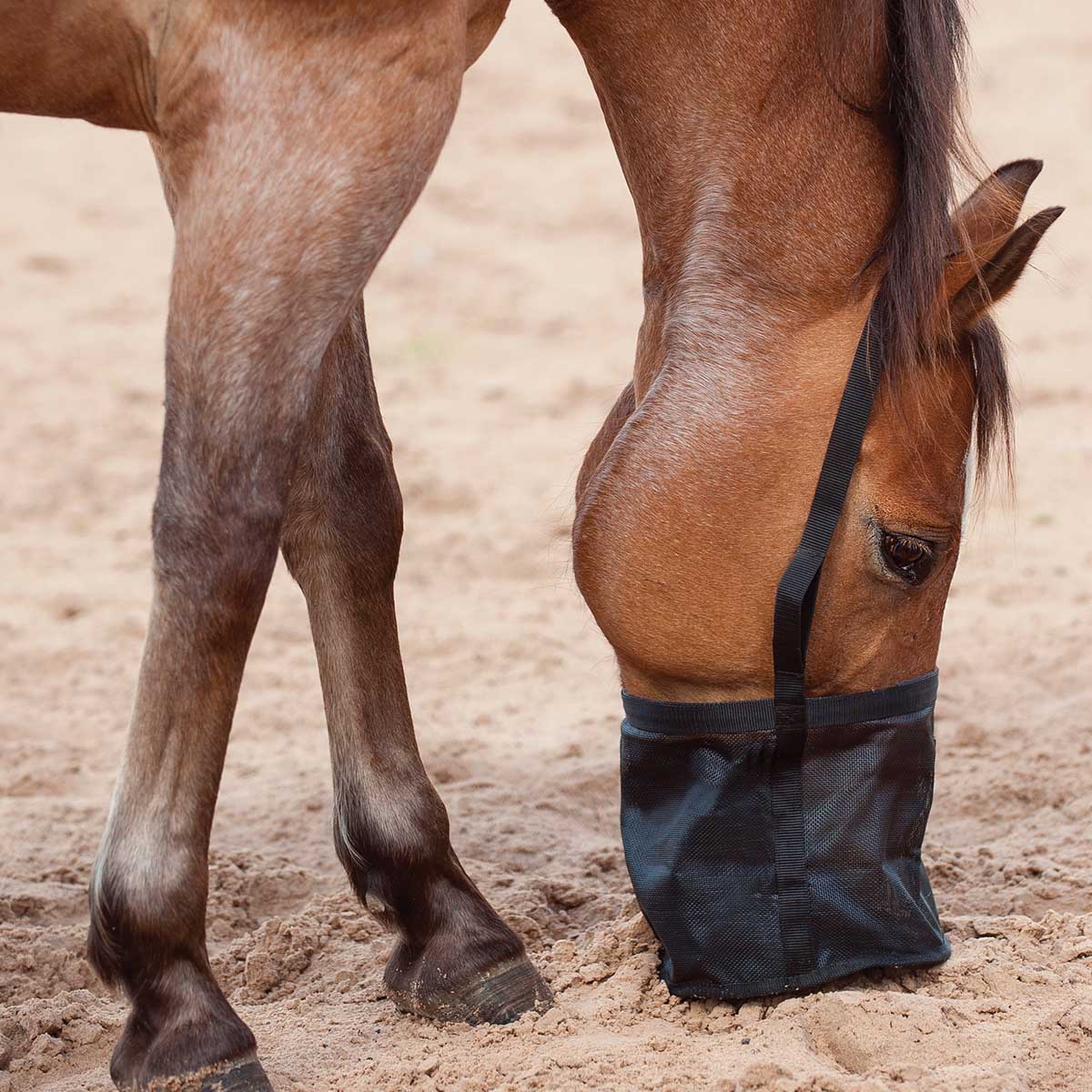 Feed Rite Horse Feed Bag - Image 7