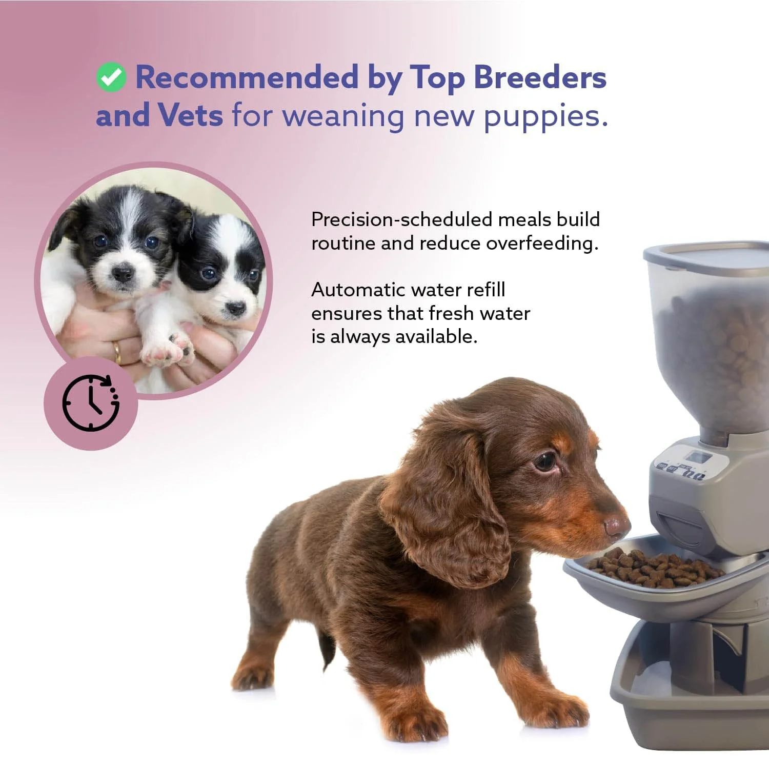 Feeding Friend Automatic Pet Feeder – Timed Portion Control Food & Water Dispenser for Cats and Dogs - Image 12