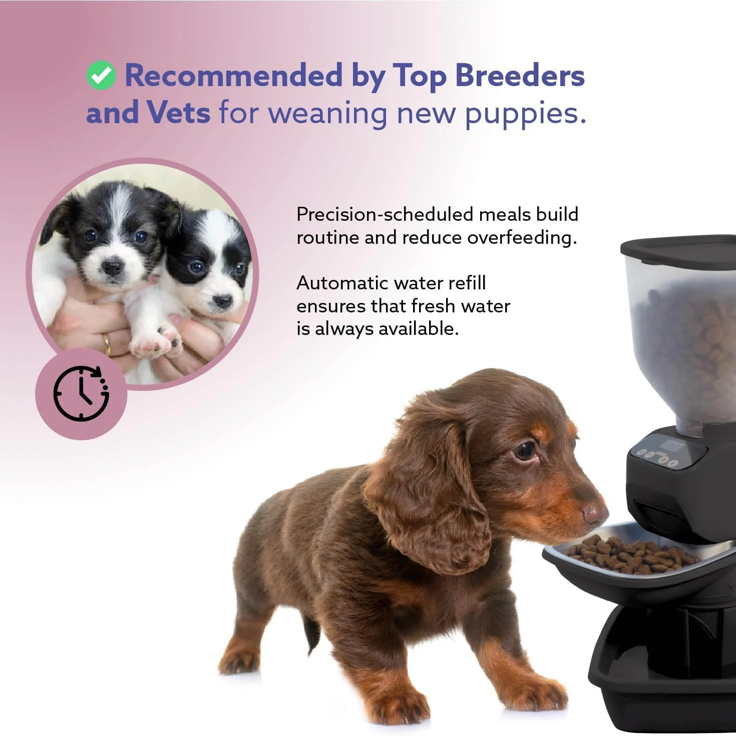 Feeding Friend Automatic Pet Feeder – Timed Portion Control Food & Water Dispenser for Cats and Dogs - Image 5