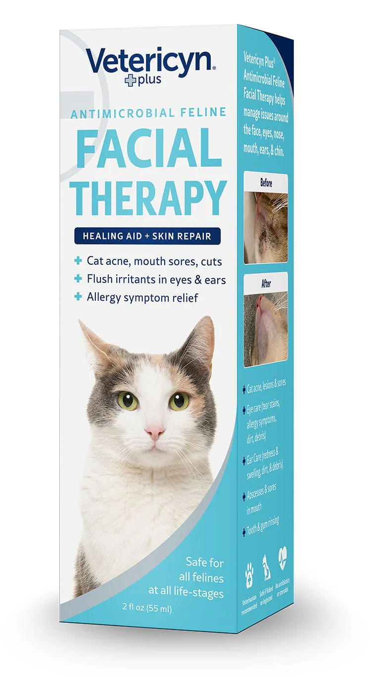 Feline Antimicrobial Facial Therapy - Image 4