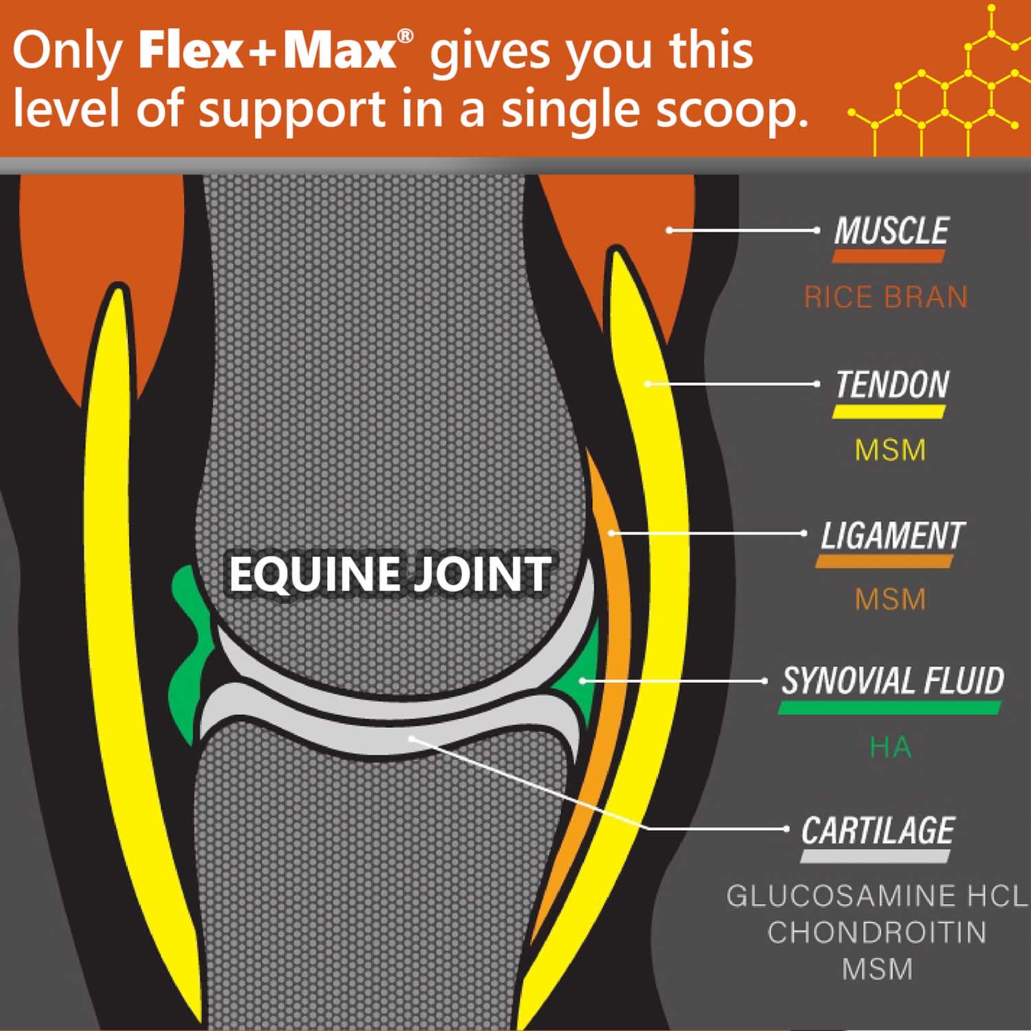 FLEX+MAX Pellets - Image 10