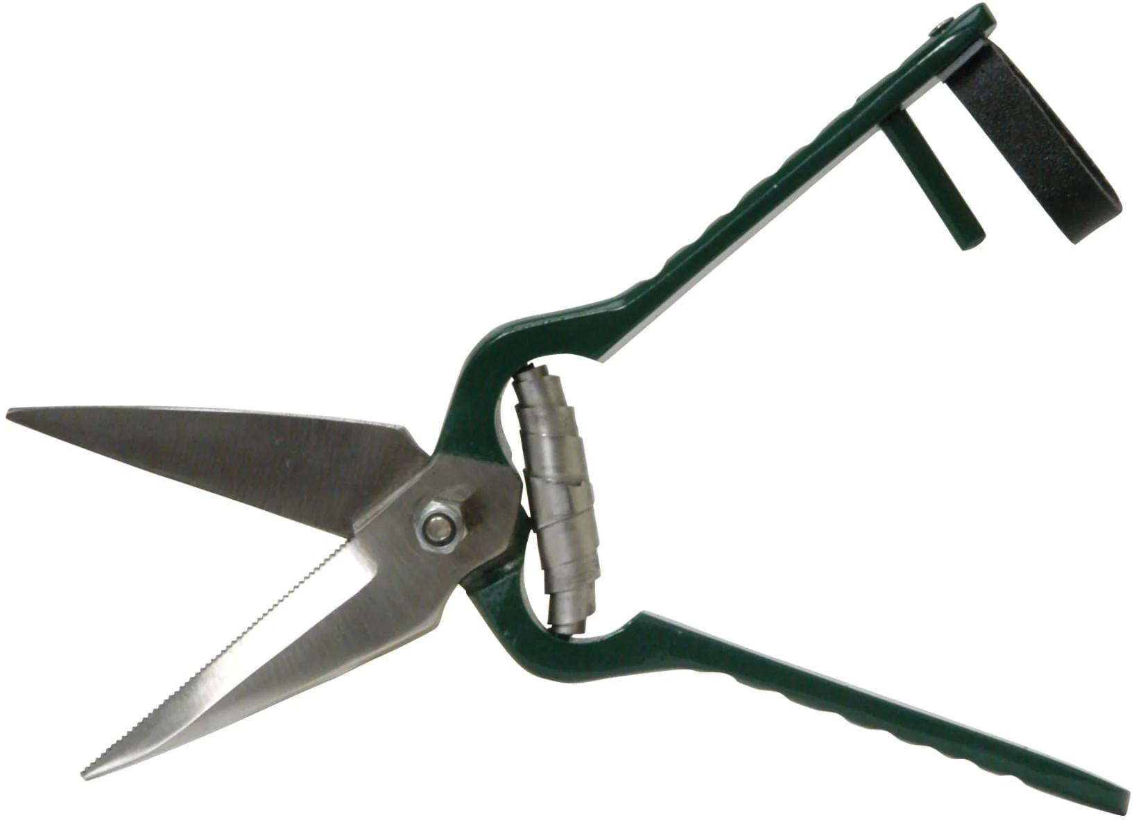 Jeffers Serrated Foot Rot Hoof Trimming Shears for Livestock