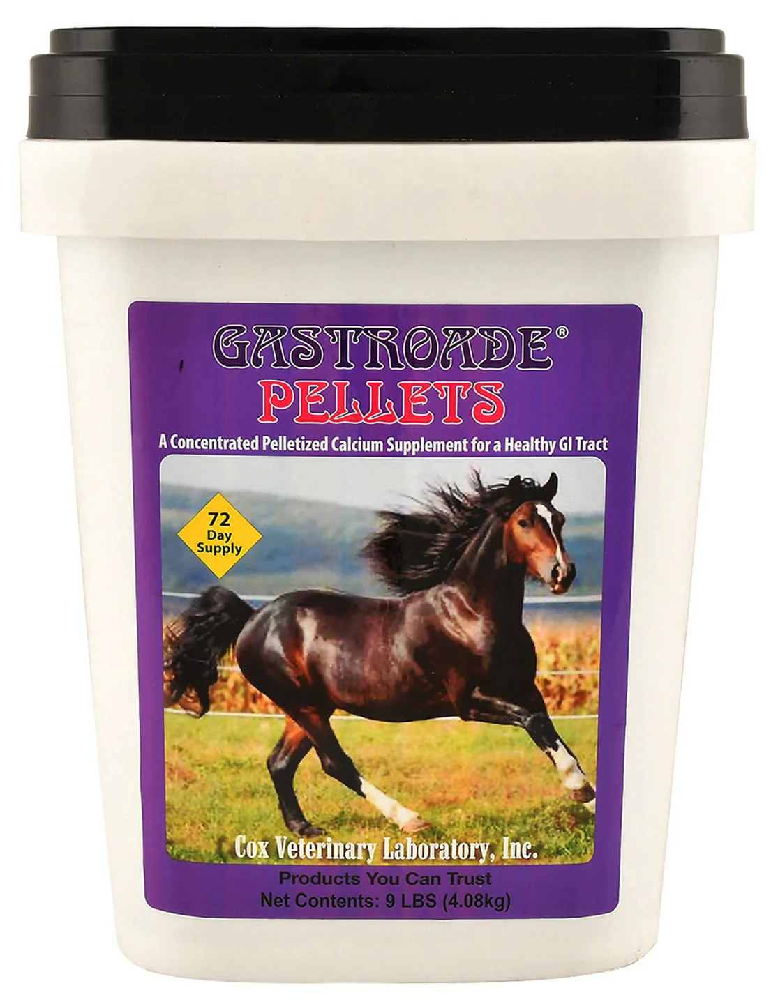 Gastroade Pellets for Healthy GI Tract in Horses - Image 4