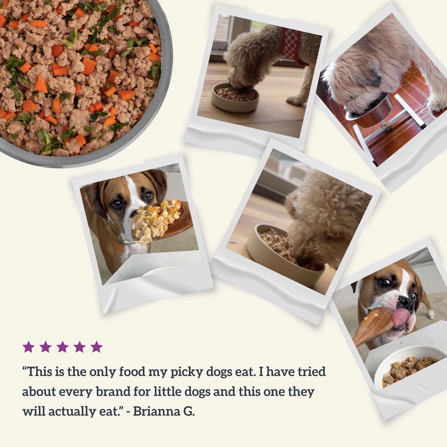 Health Extension Grain-Free Dog Food Pouches - Gently Cooked in Bone Broth - Image 5