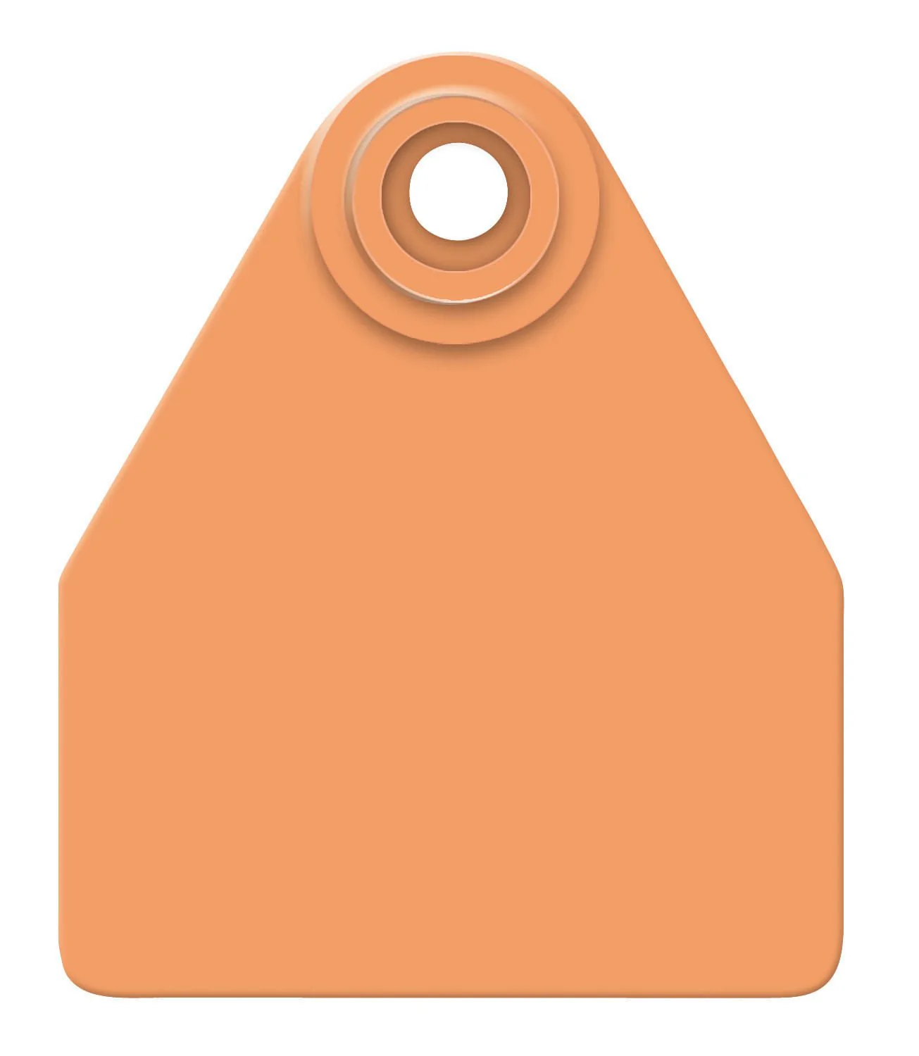 Allflex Global Blank 2-Piece Tags, 25 ct - Image 11