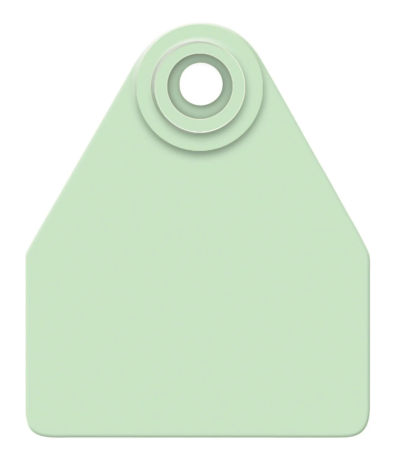 Allflex Global Blank 2-Piece Tags, 25 ct - Image 7